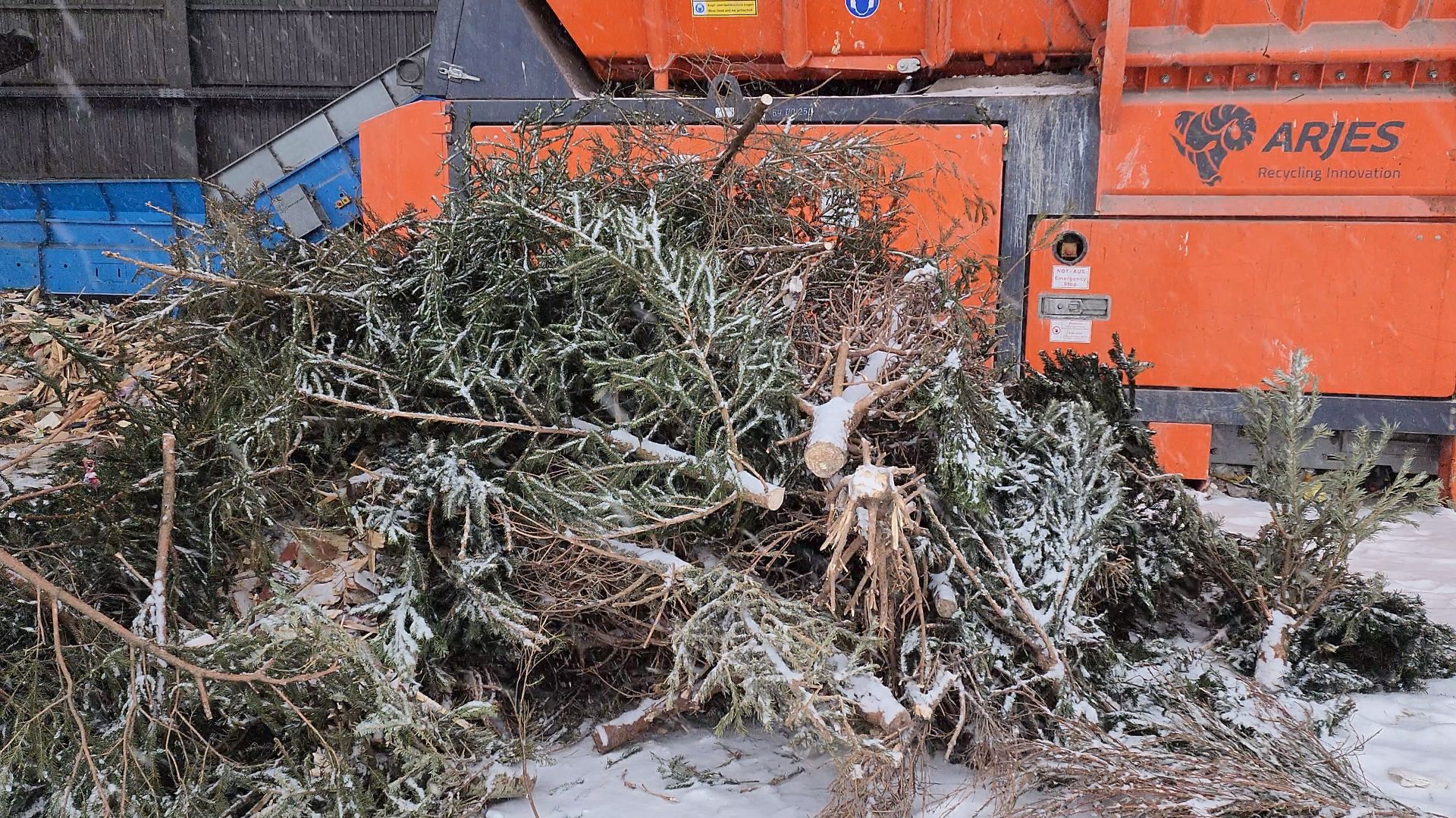КПО, Егорьевск, подари елке вторую жизнь, Подмосковье, экология, московская область,