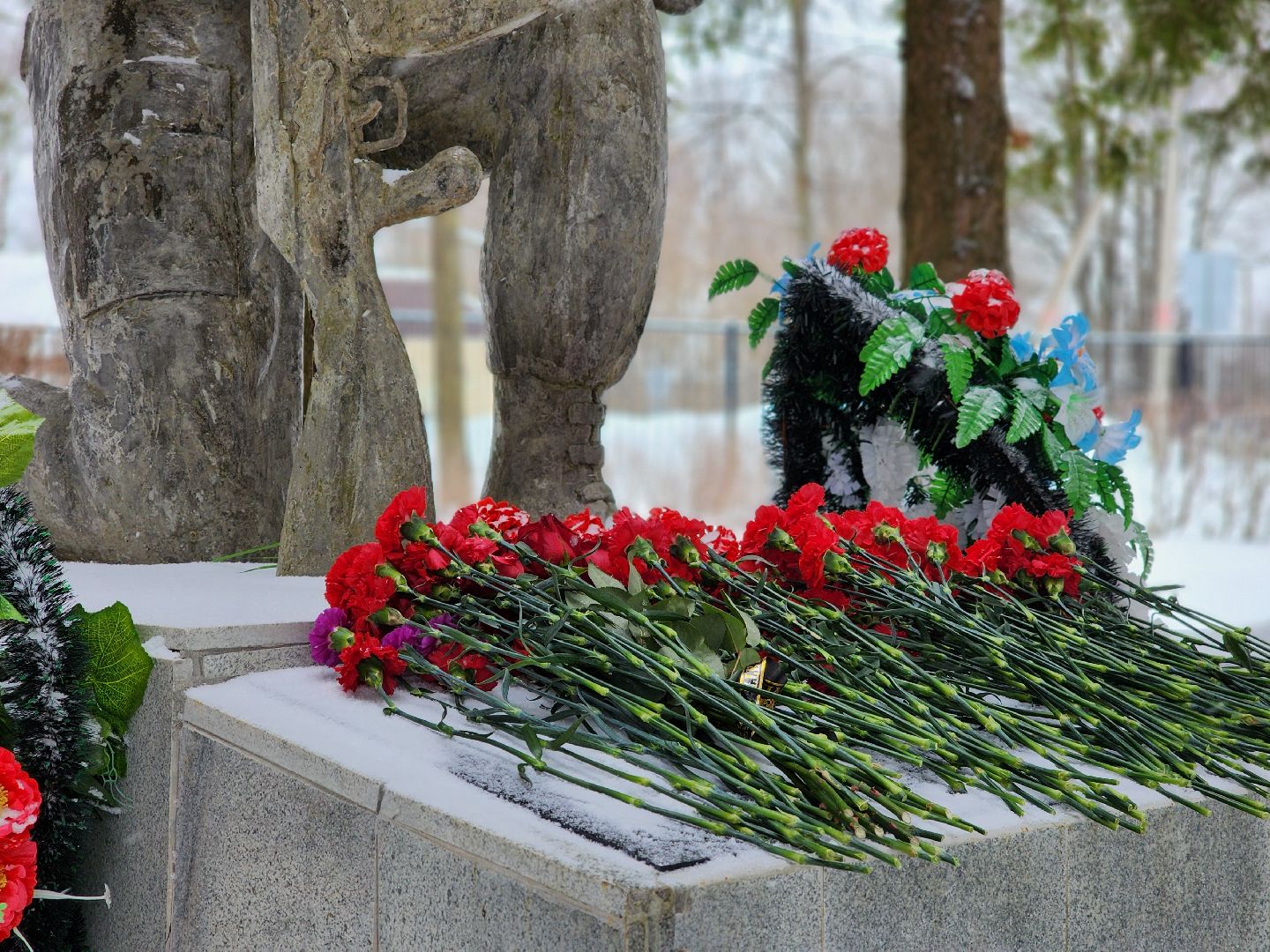 серпухов, поселок пролетарский, ветераны афганцы, афганистан, митинг,