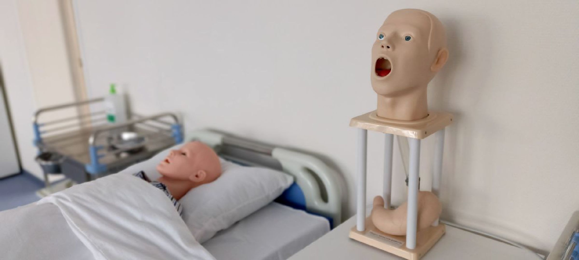 Дмитров, Медколледж, Глава Дмитровского округа,