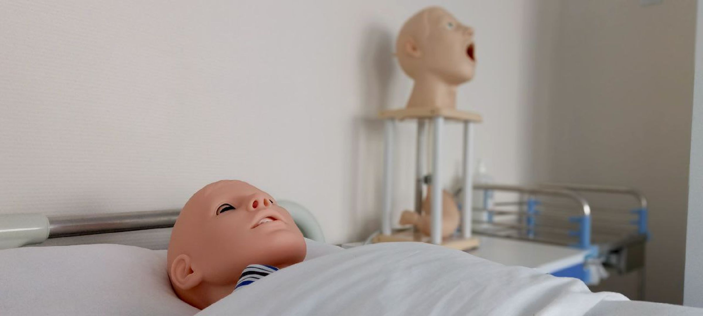 Дмитров, Медколледж, Глава Дмитровского округа,