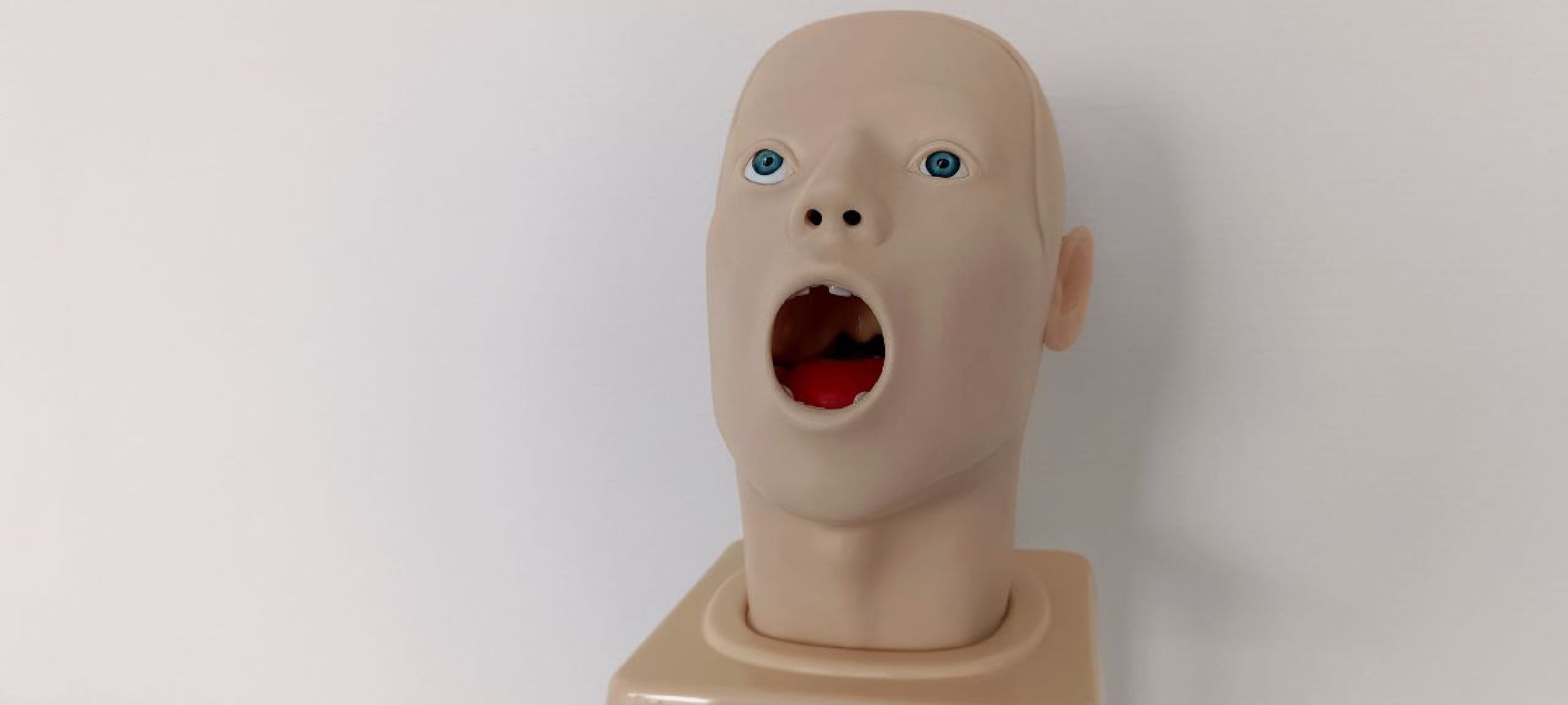 Дмитров, Медколледж, Глава Дмитровского округа,