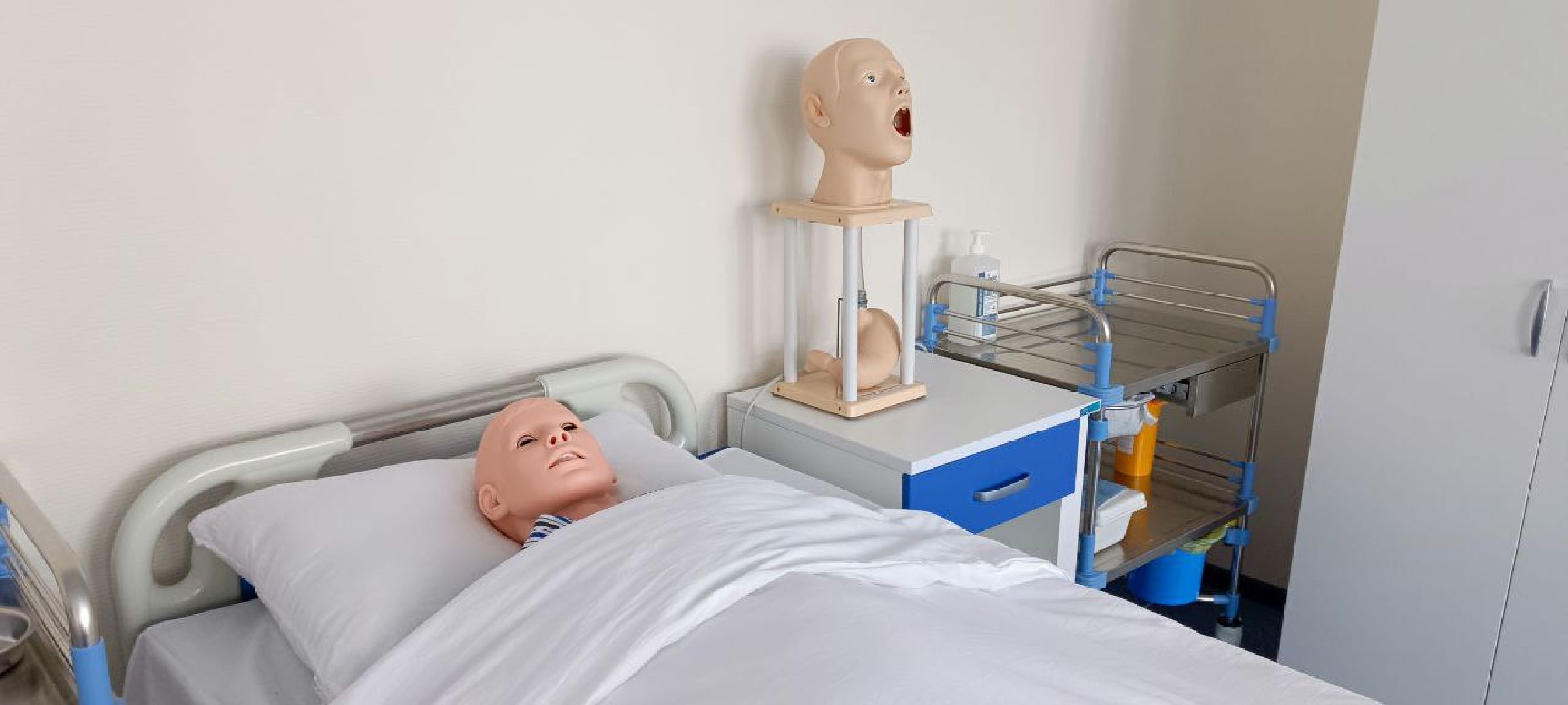 Дмитров, Медколледж, Глава Дмитровского округа,