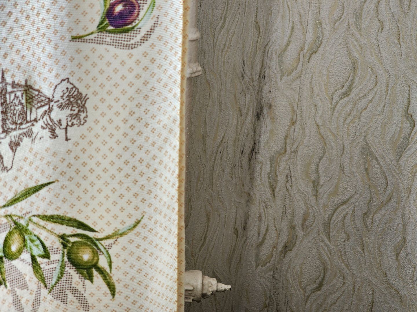 подольск, волонтеры подмосковья, ремонт,