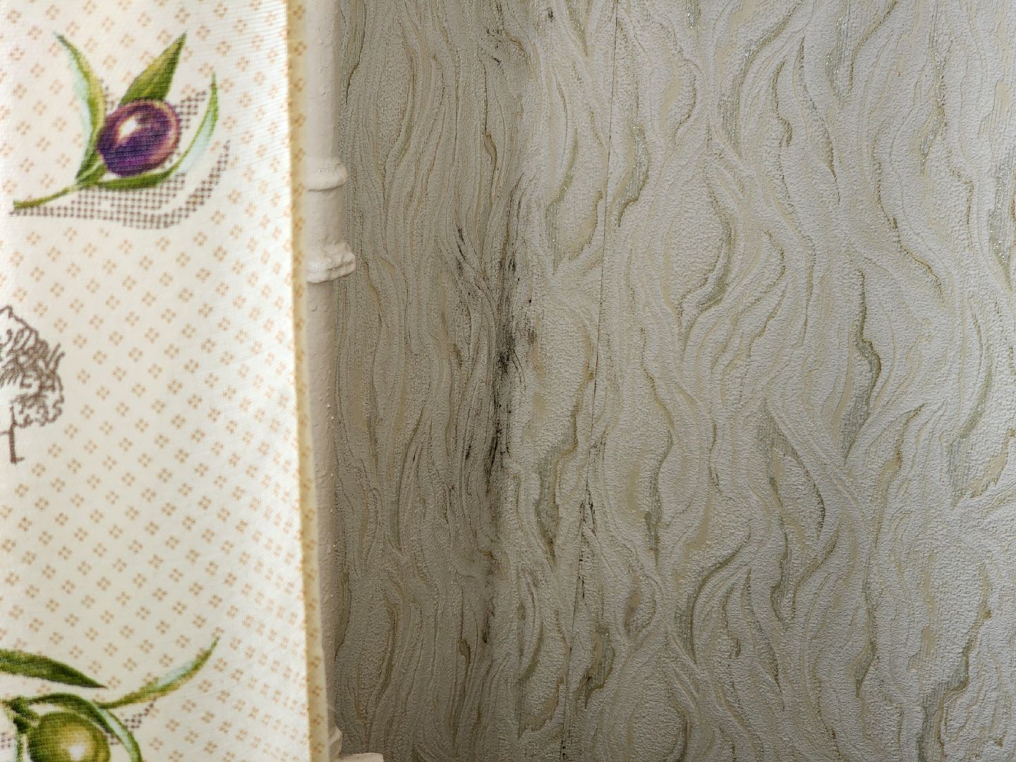 подольск, волонтеры подмосковья, ремонт,