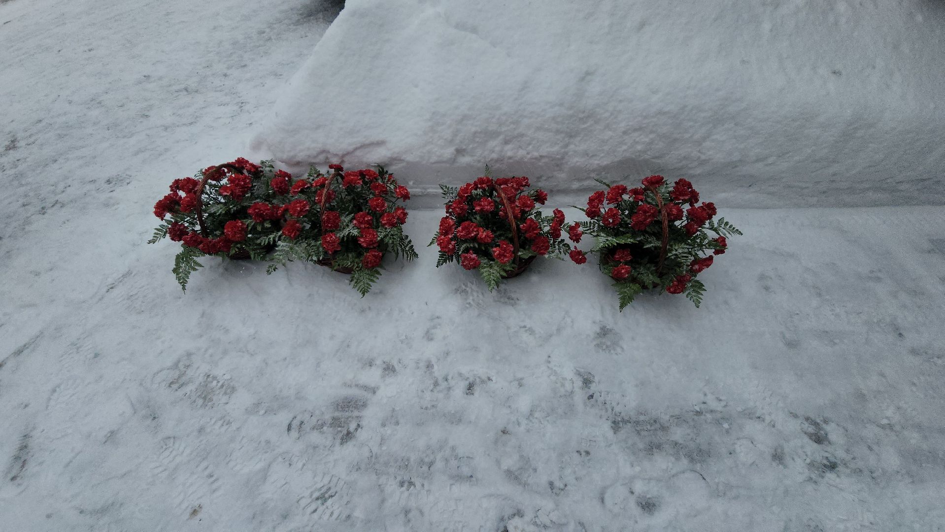 долгопрудный, боевое братство, воины-интернационалисты, афганистан, траурный митинг,