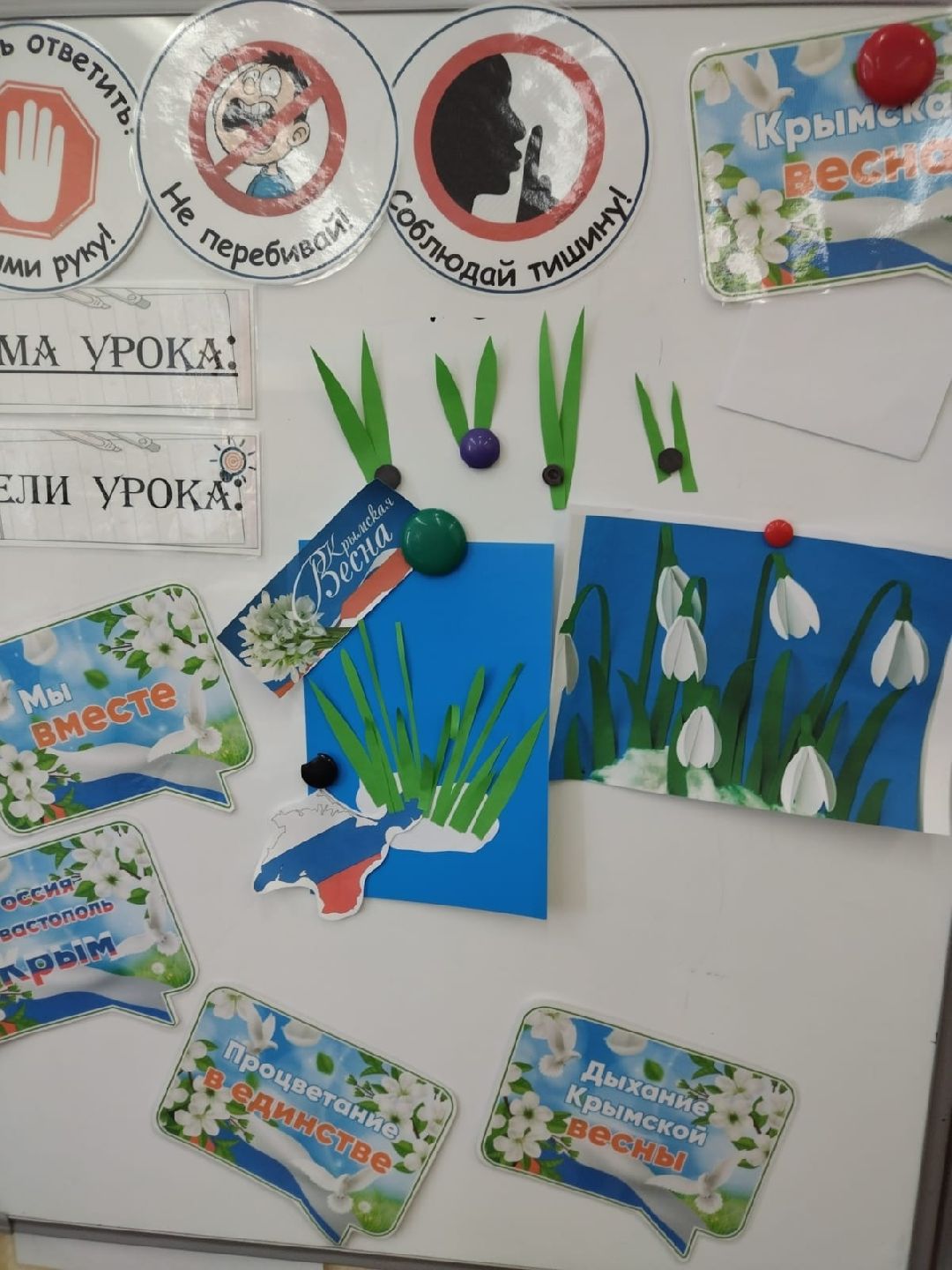 Реутов, образование, Крым, лаванда, цветы, букеты