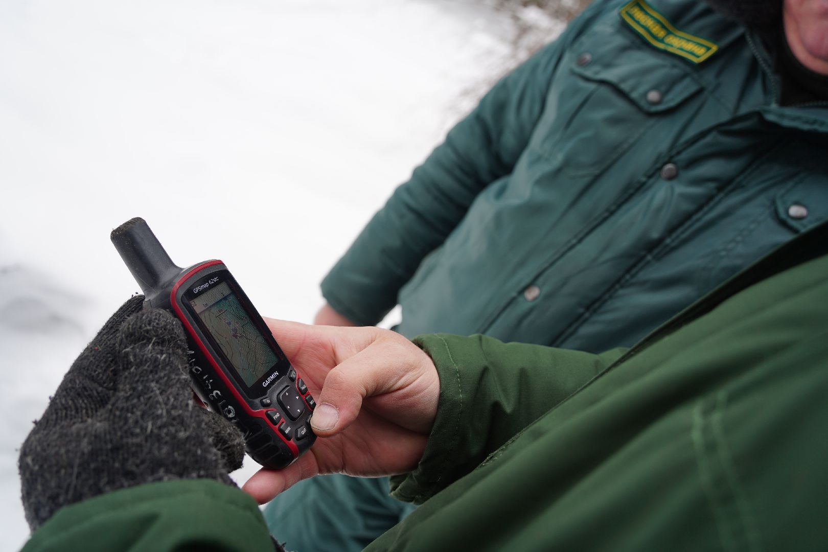 лесной патруль, Мособллес, Шатура, лесфонд, лесное хозяйство,
