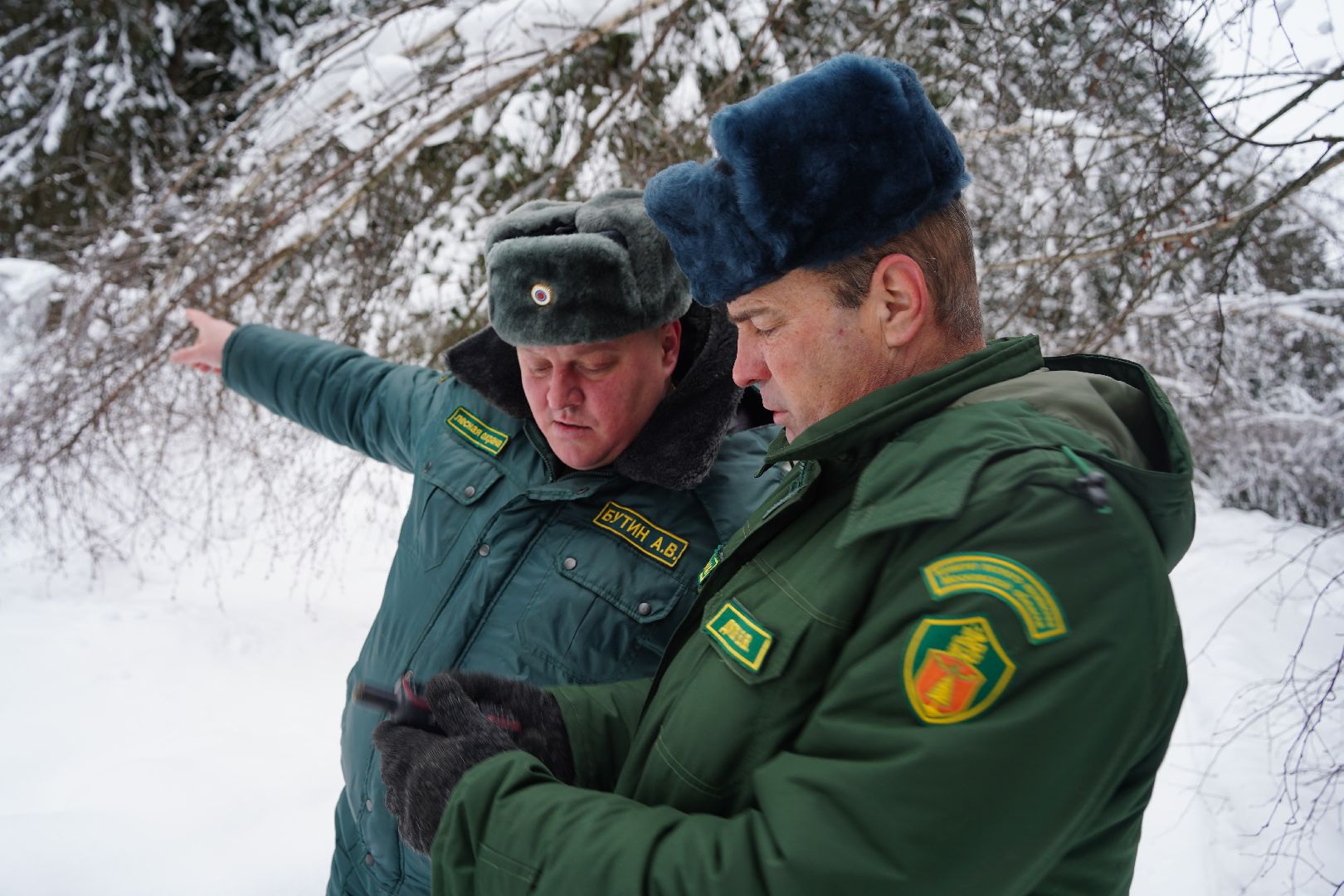 лесной патруль, Мособллес, Шатура, лесфонд, лесное хозяйство,