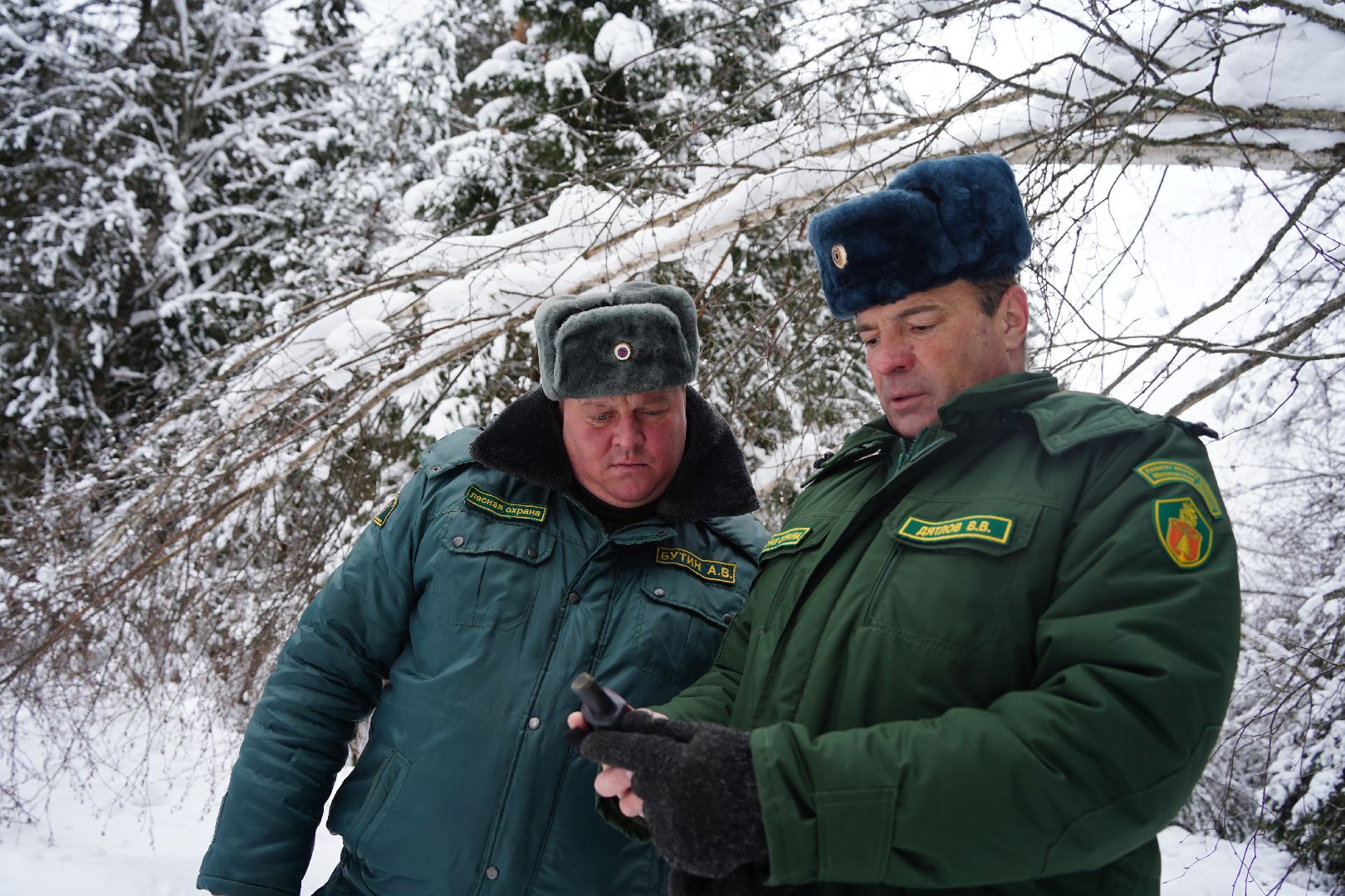 лесной патруль, Мособллес, Шатура, лесфонд, лесное хозяйство,