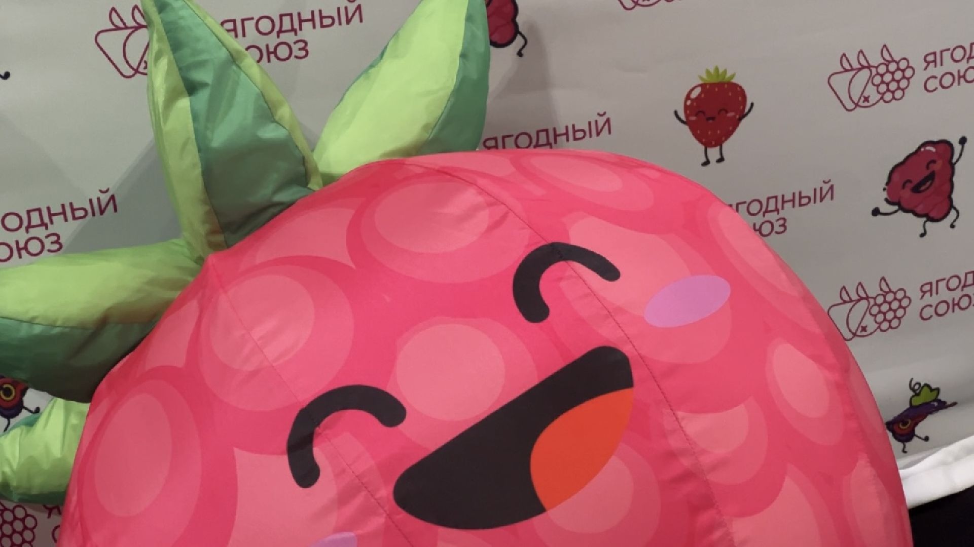 химки, экономика, ягоды россии, конференция, сельское хозяйство, министерство сельского хозяйства,