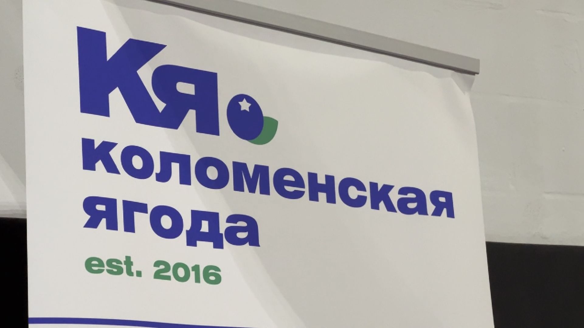 химки, экономика, сельское хозяйство, конференция, ягоды россии, коломна, коломенская ягода,