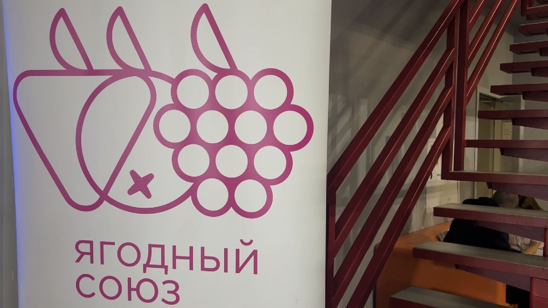 химки, экономика, сельское хозяйство, конференция, ягоды россии, коломна, коломенская ягода,