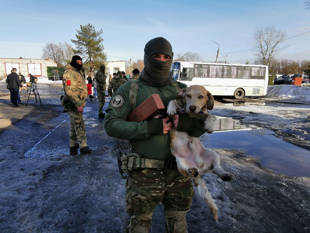 Подольск, спецоперация, война