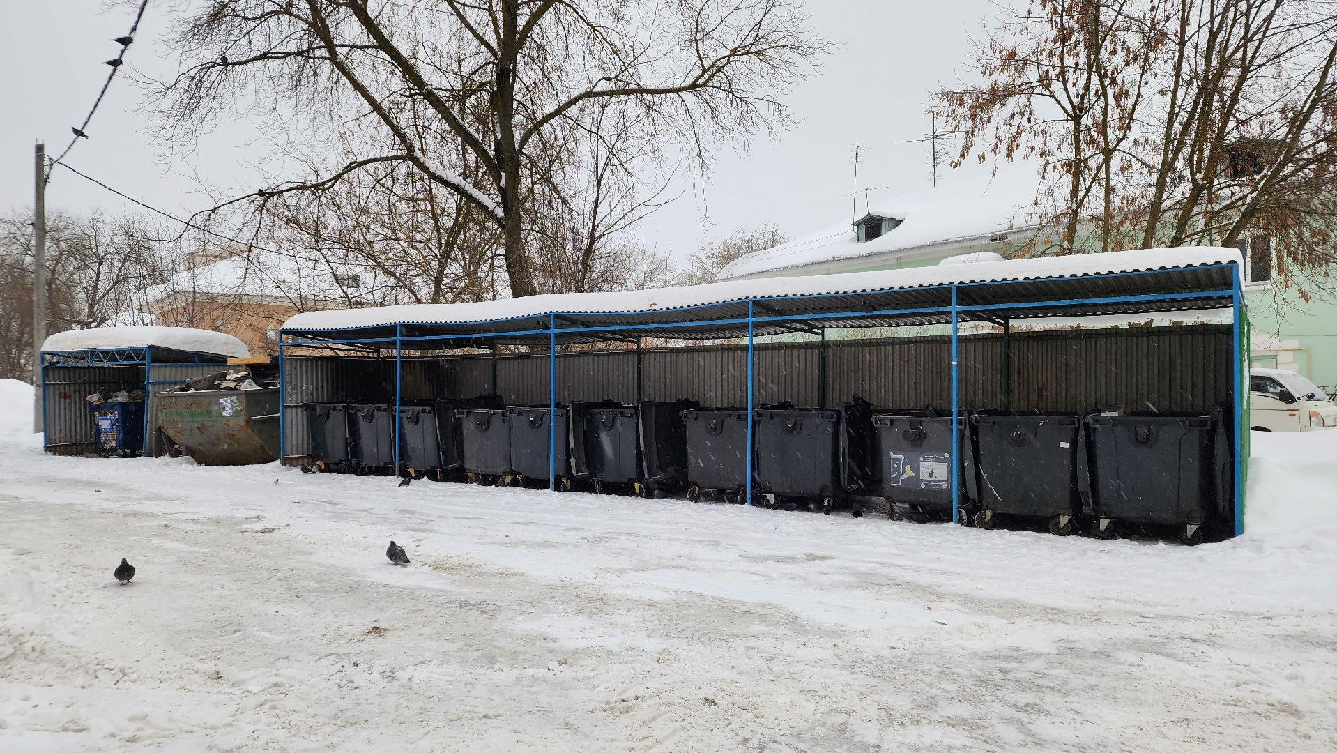 контейнерная площадка, Лосино-Петровский, вывоз мусора,