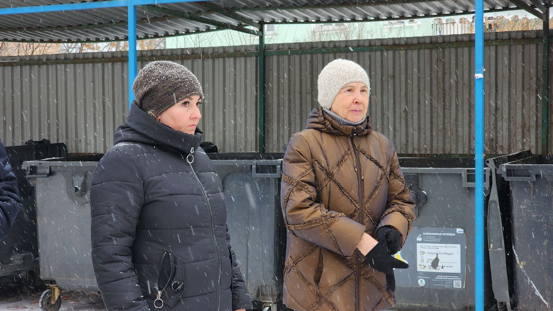 контейнерная площадка, Лосино-Петровский, вывоз мусора,