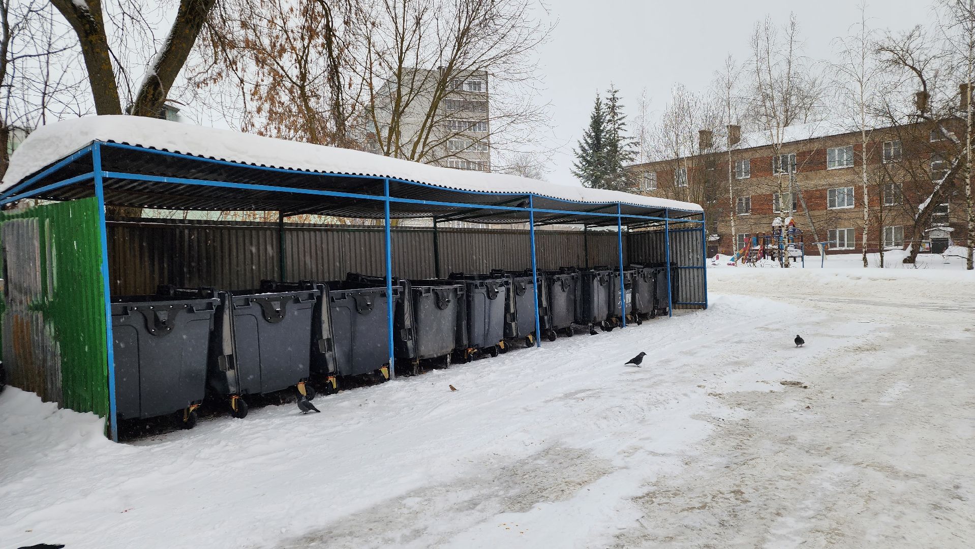 контейнерная площадка, Лосино-Петровский, вывоз мусора,