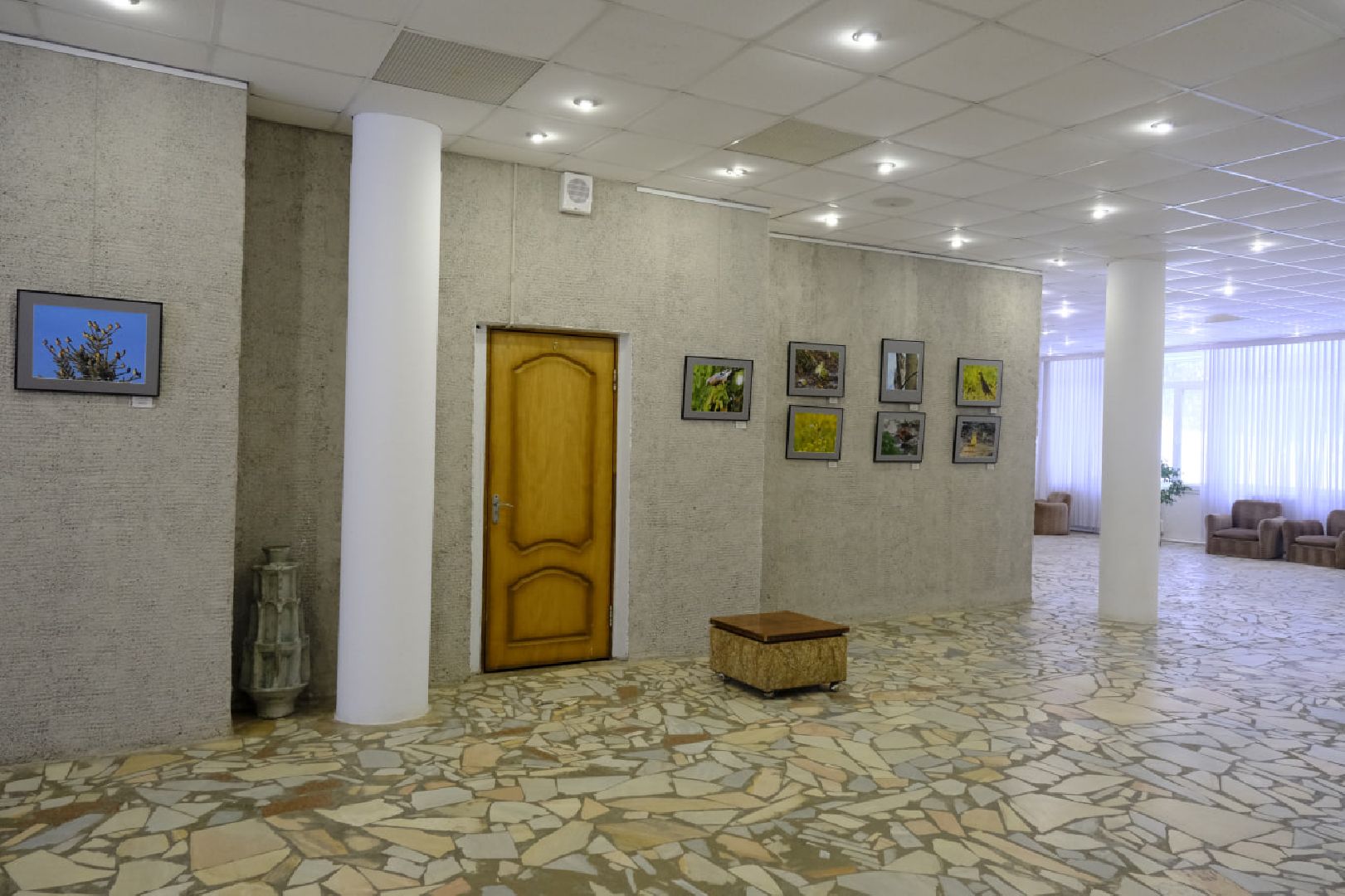 пущино, фотографы, фото, фотовыставка, птица, птицы, птицы подмосковья, подмосковье,