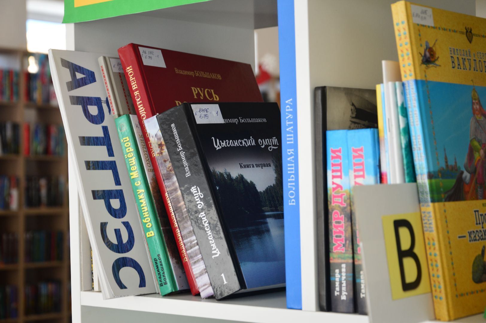 шатура, библиотека, новые книги, анонс, презентация,