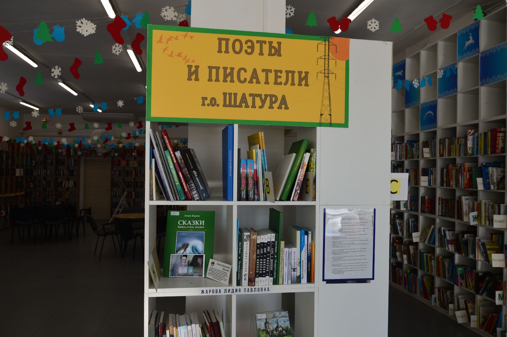 шатура, библиотека, новые книги, анонс, презентация,