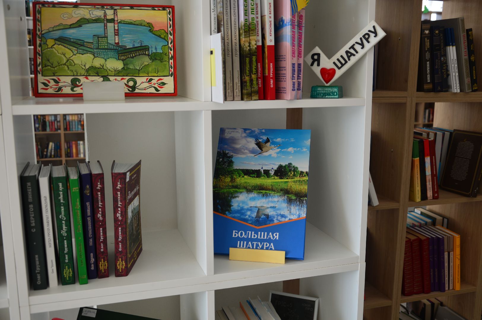 шатура, библиотека, новые книги, анонс, презентация,