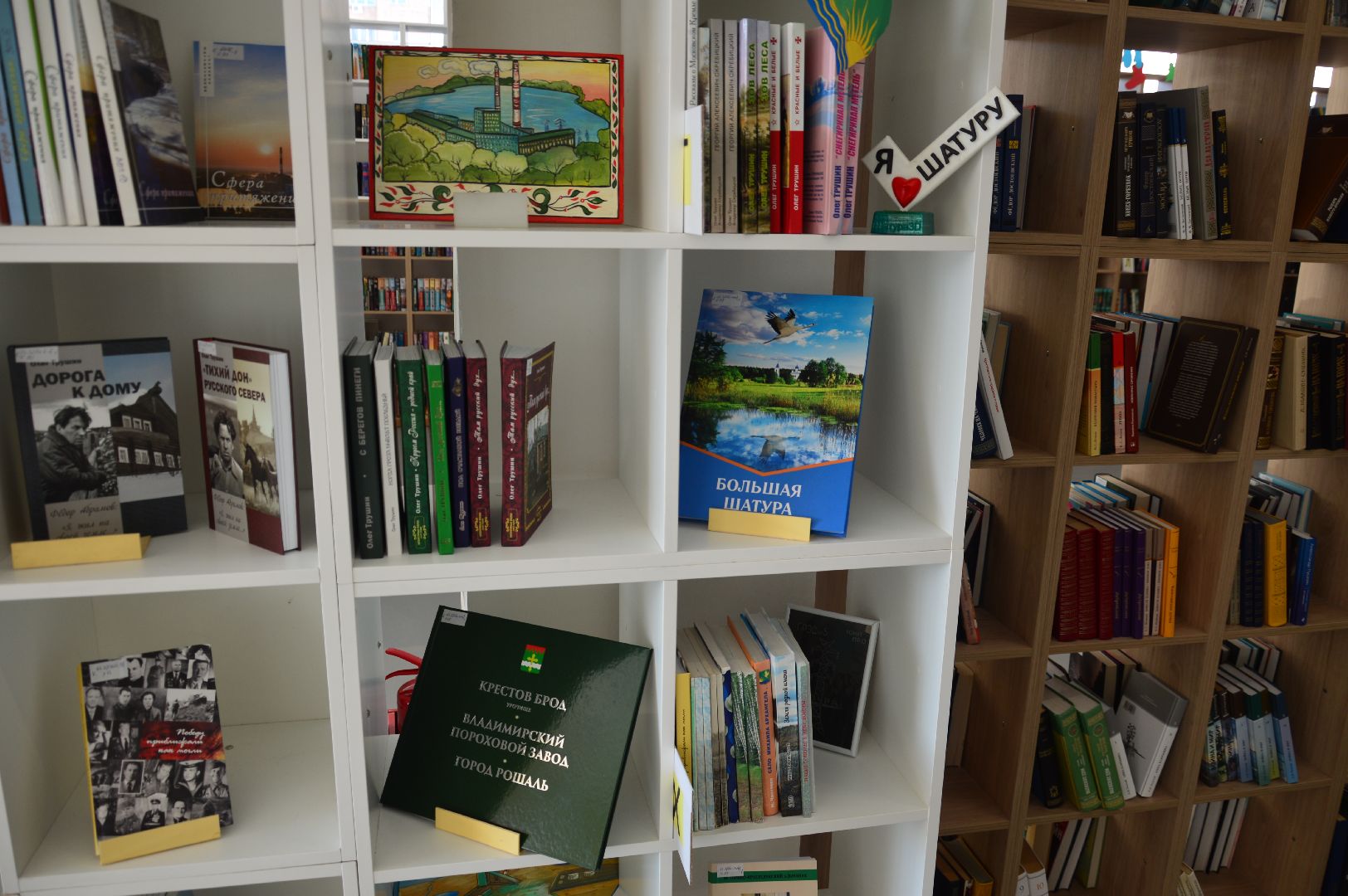 шатура, библиотека, новые книги, анонс, презентация,
