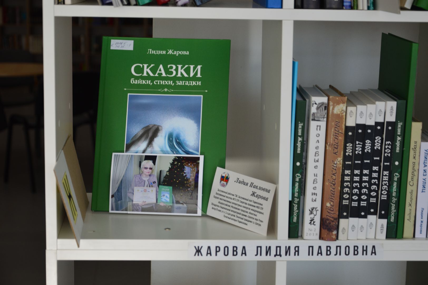 шатура, библиотека, новые книги, анонс, презентация,