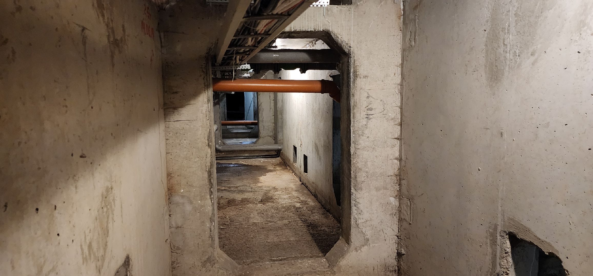 сухие подвалы, Домодедово - парк, работа по просьбе жителей,