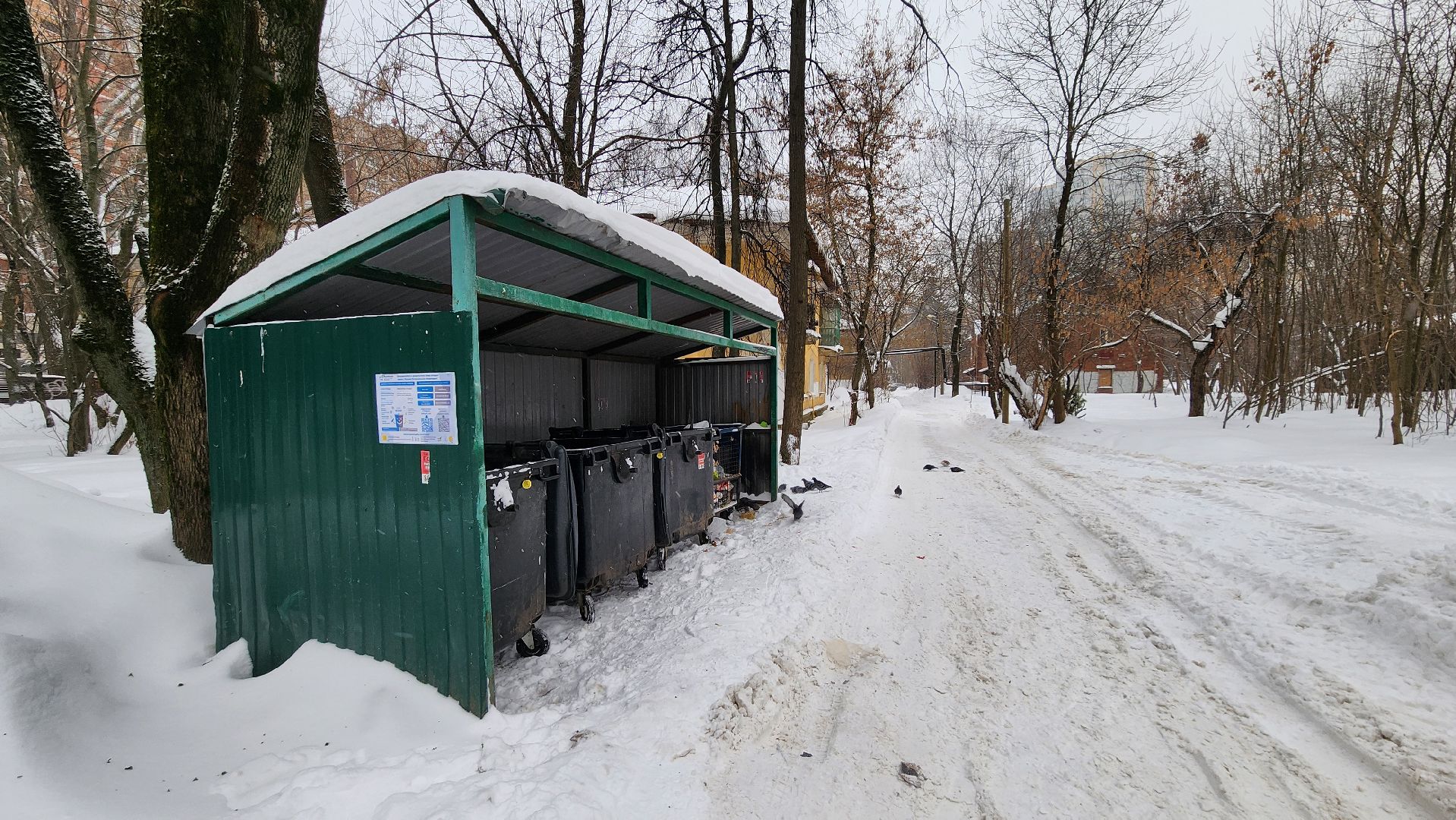 Одинцово, Контейнеры, Тко,