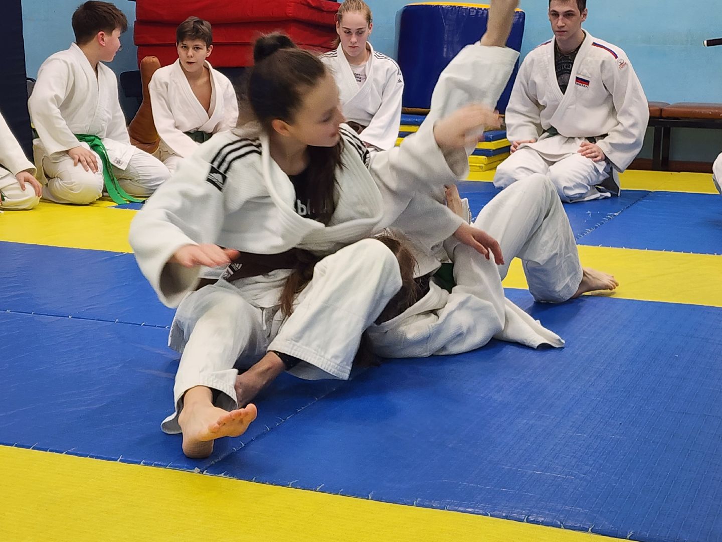 красноармейск, г.о. пушкинский, джиу-джитсу, единоборства,