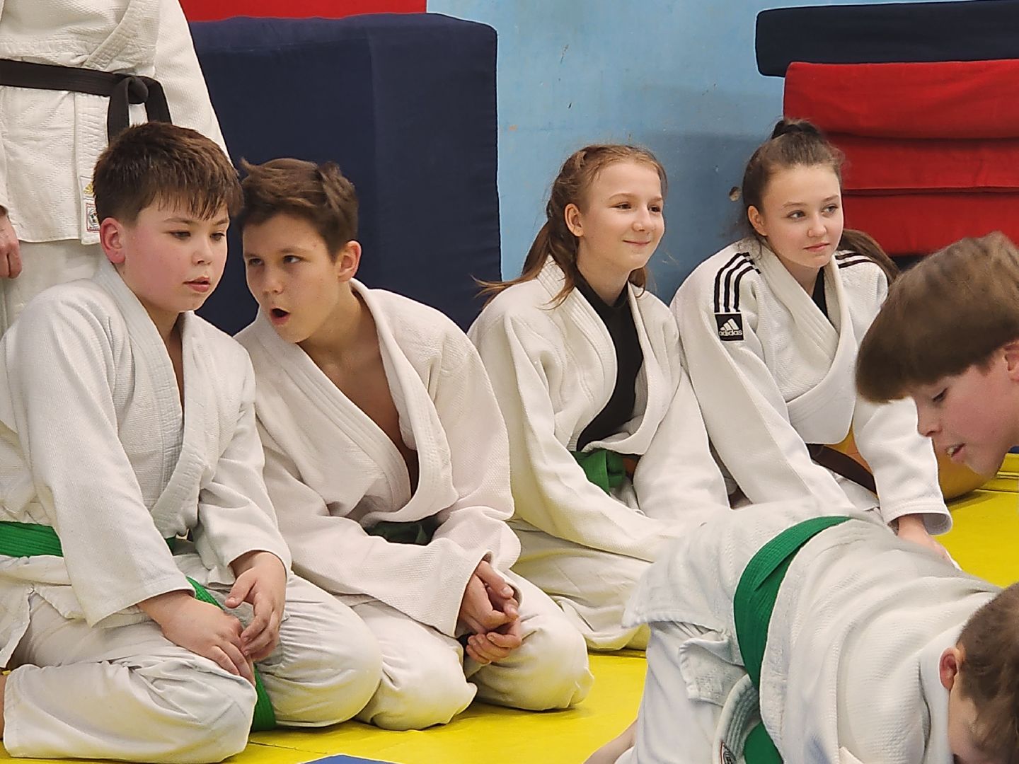 красноармейск, г.о. пушкинский, джиу-джитсу, единоборства,