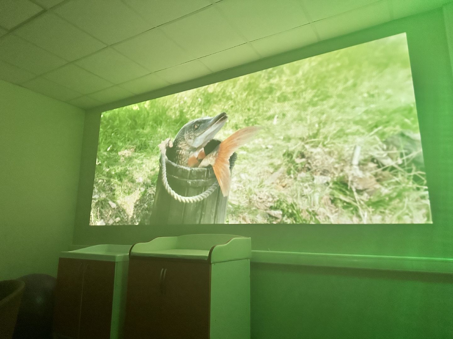 беременность, роды в подмосковье, наро-фоминский перинатальный центр,