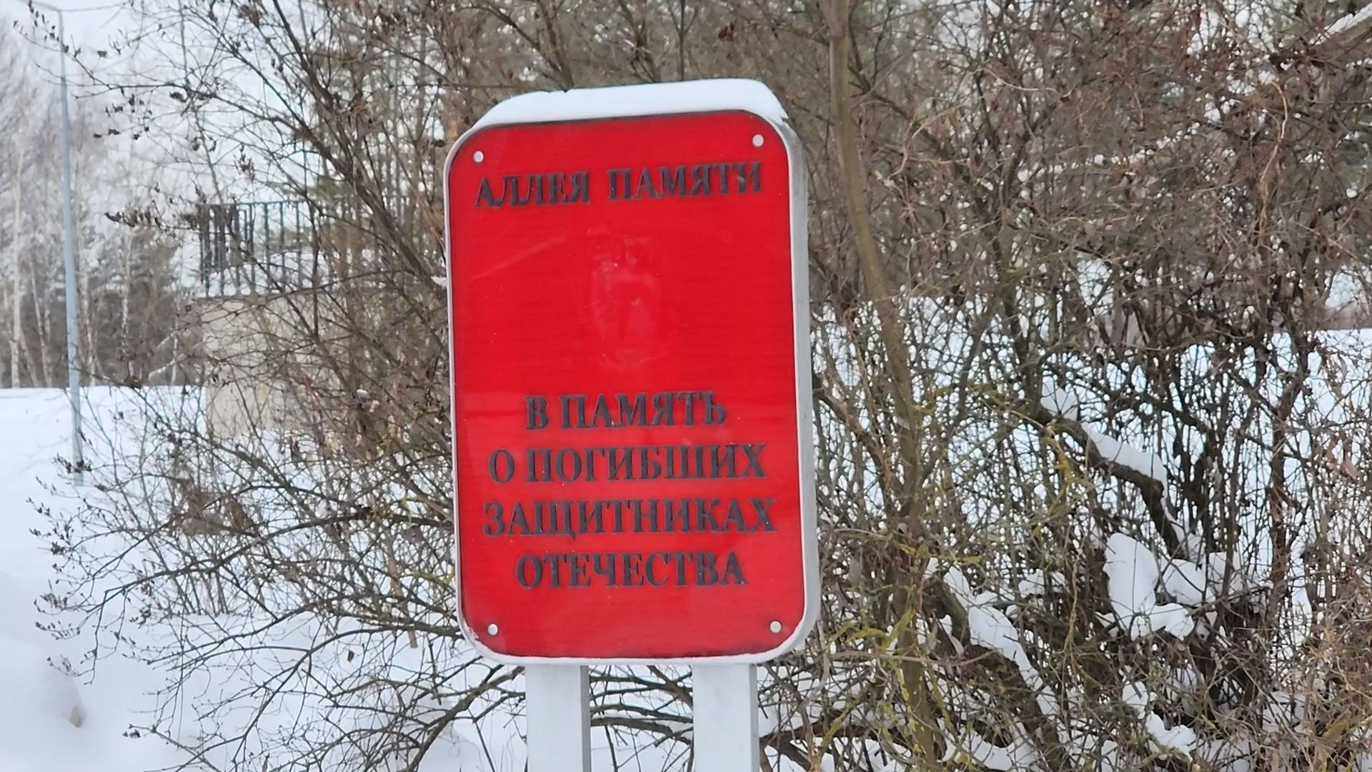 памятная акция, Юнармия, Дубна, Ветераны Афганистана,