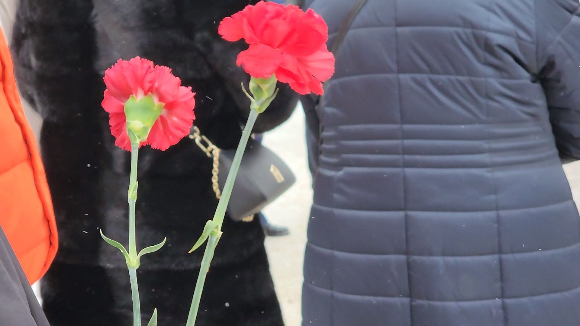 памятная акция, Юнармия, Дубна, Ветераны Афганистана,