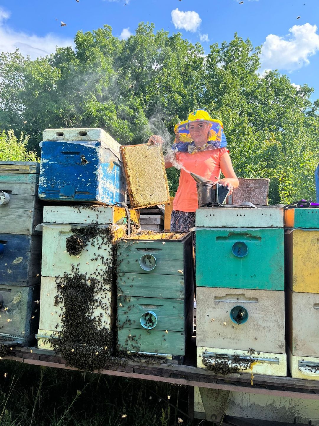 Чехов, ярмарка, мед