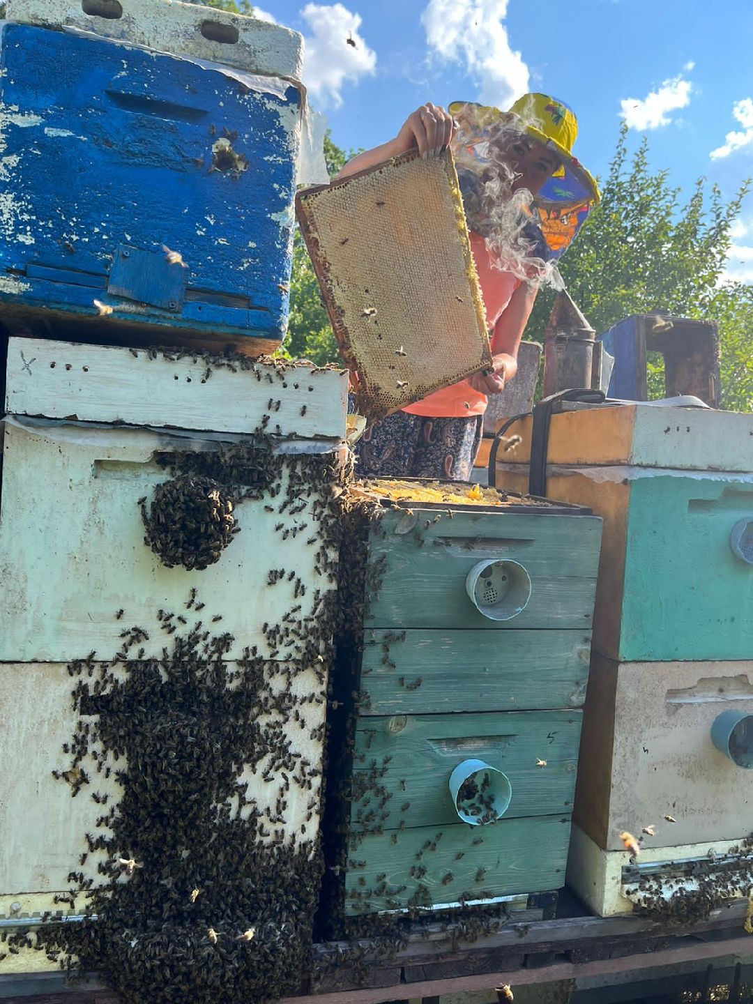 Чехов, ярмарка, мед