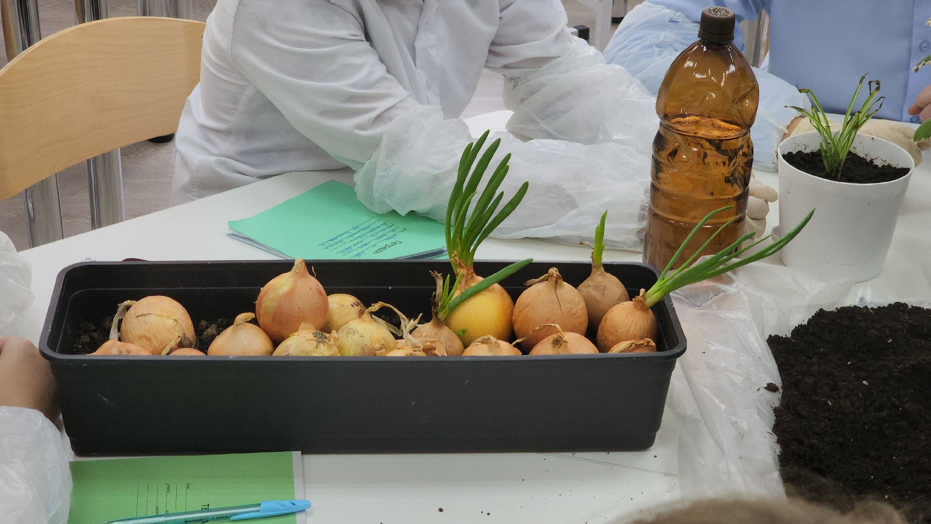 ступино, дубневская школа ступино, агрокласс ступино,