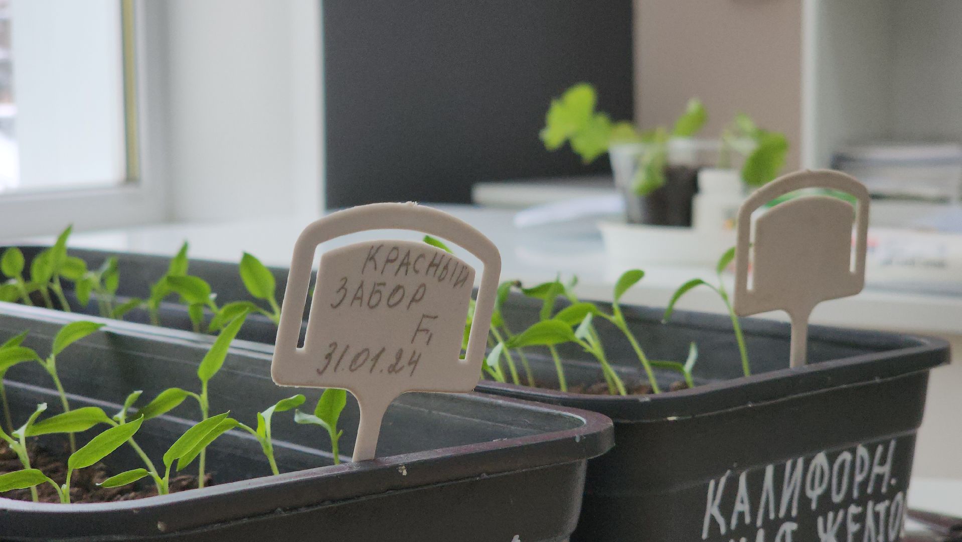 ступино, дубневская школа ступино, агрокласс ступино,