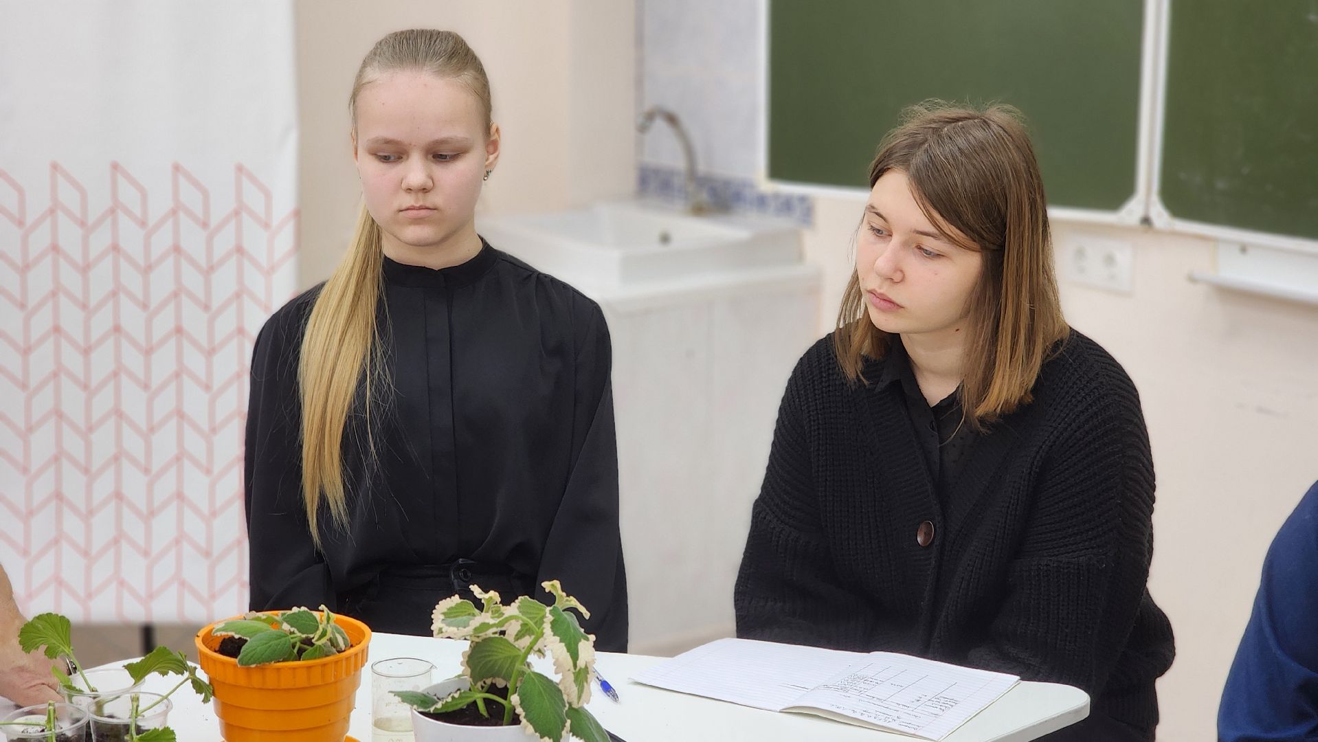 ступино, дубневская школа ступино, агрокласс ступино,