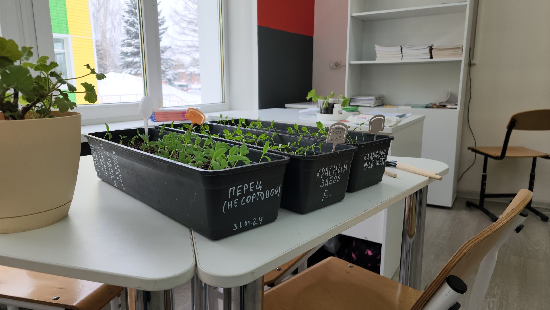 ступино, дубневская школа ступино, агрокласс ступино,