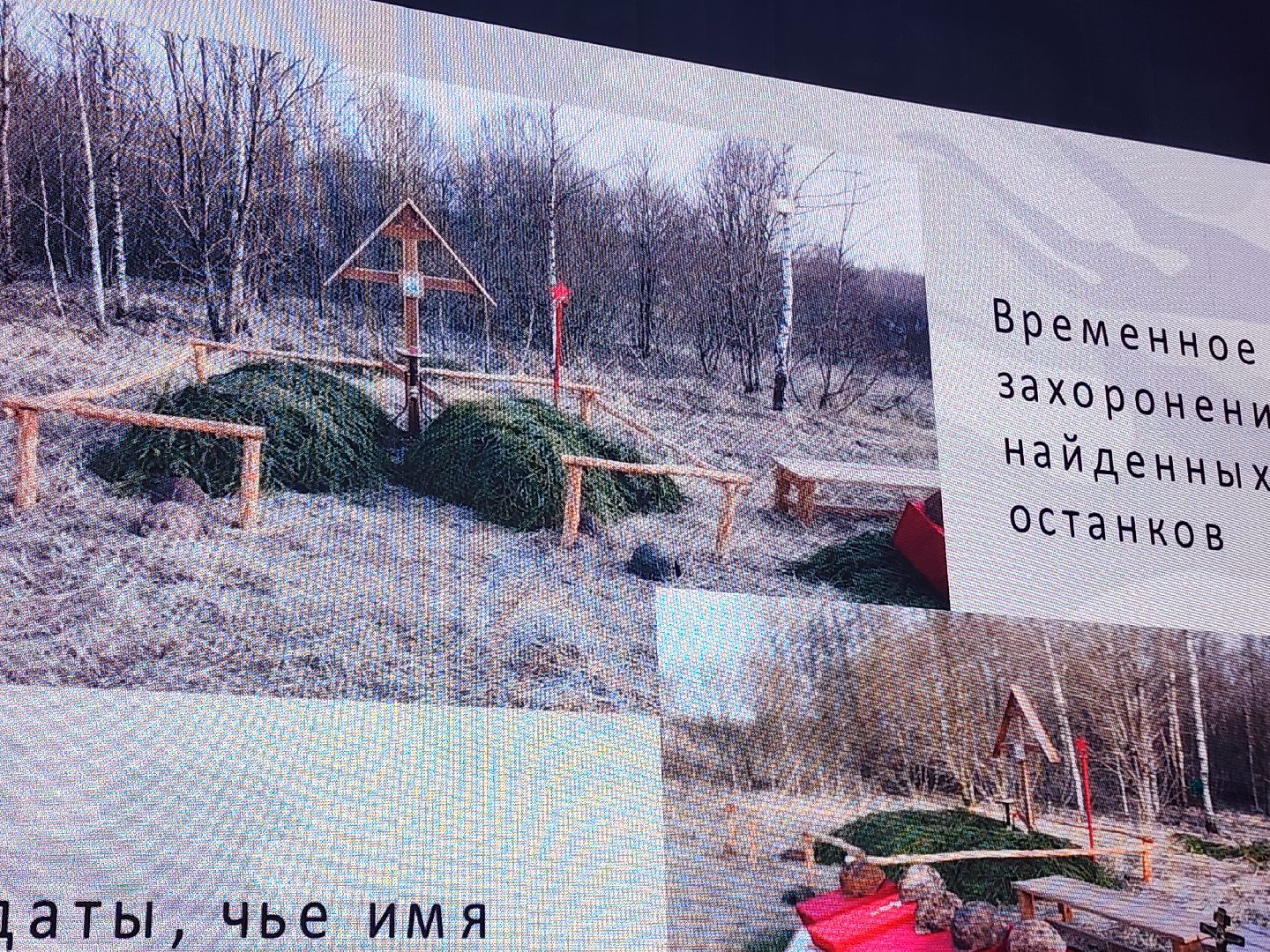 поисковое движение, юнармия,