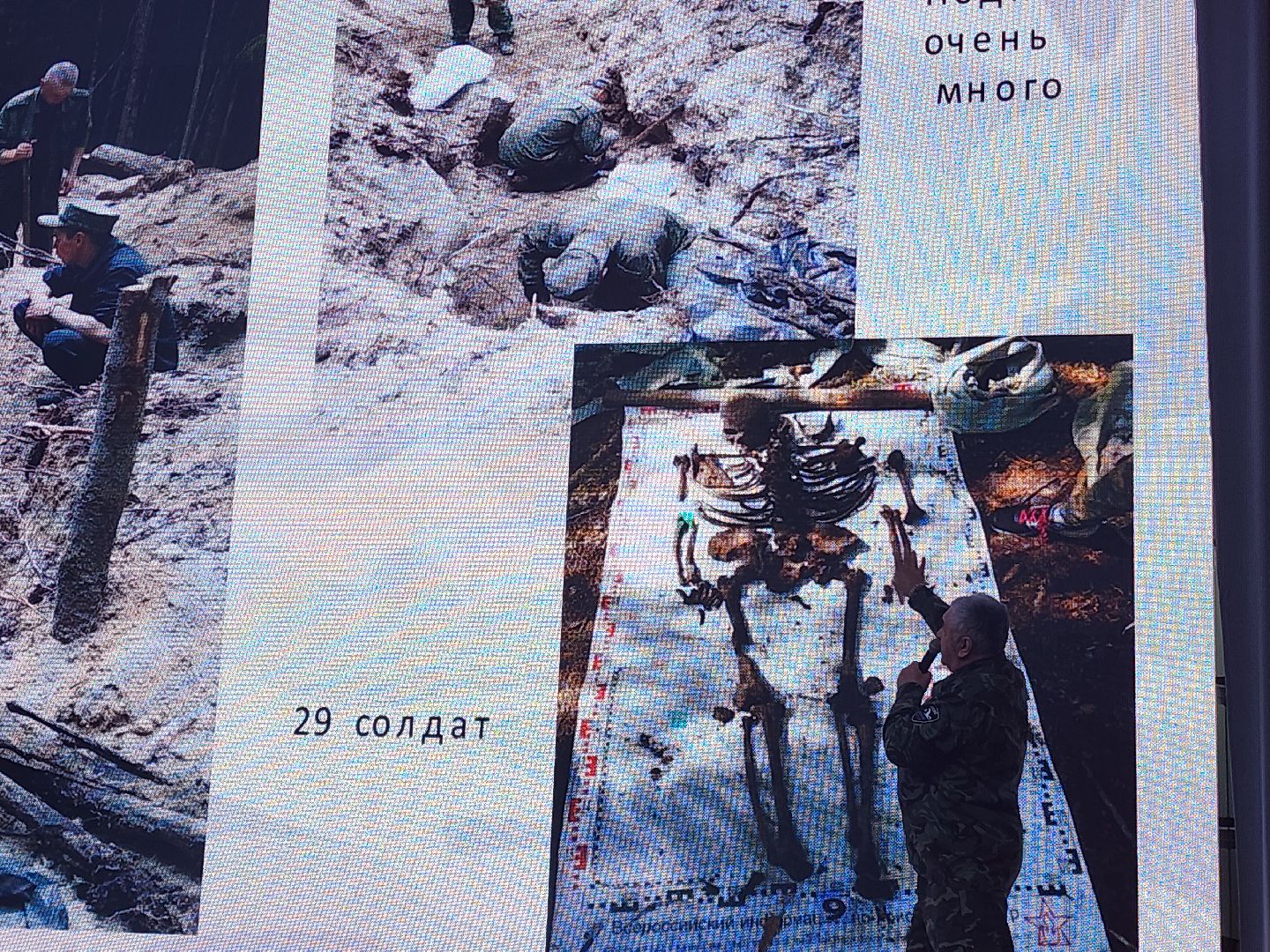 поисковое движение, юнармия,