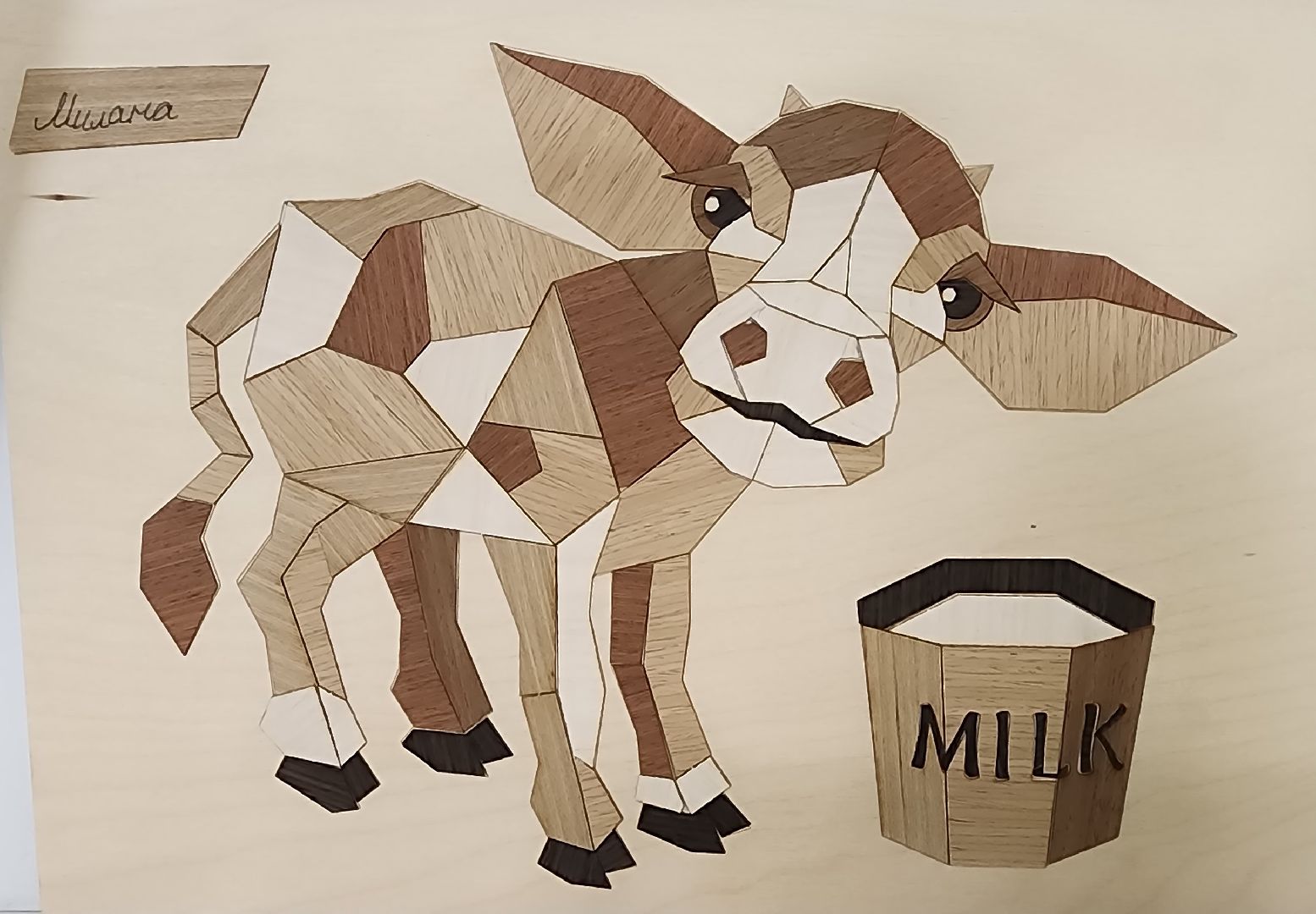 научная конференция, проектная работа,