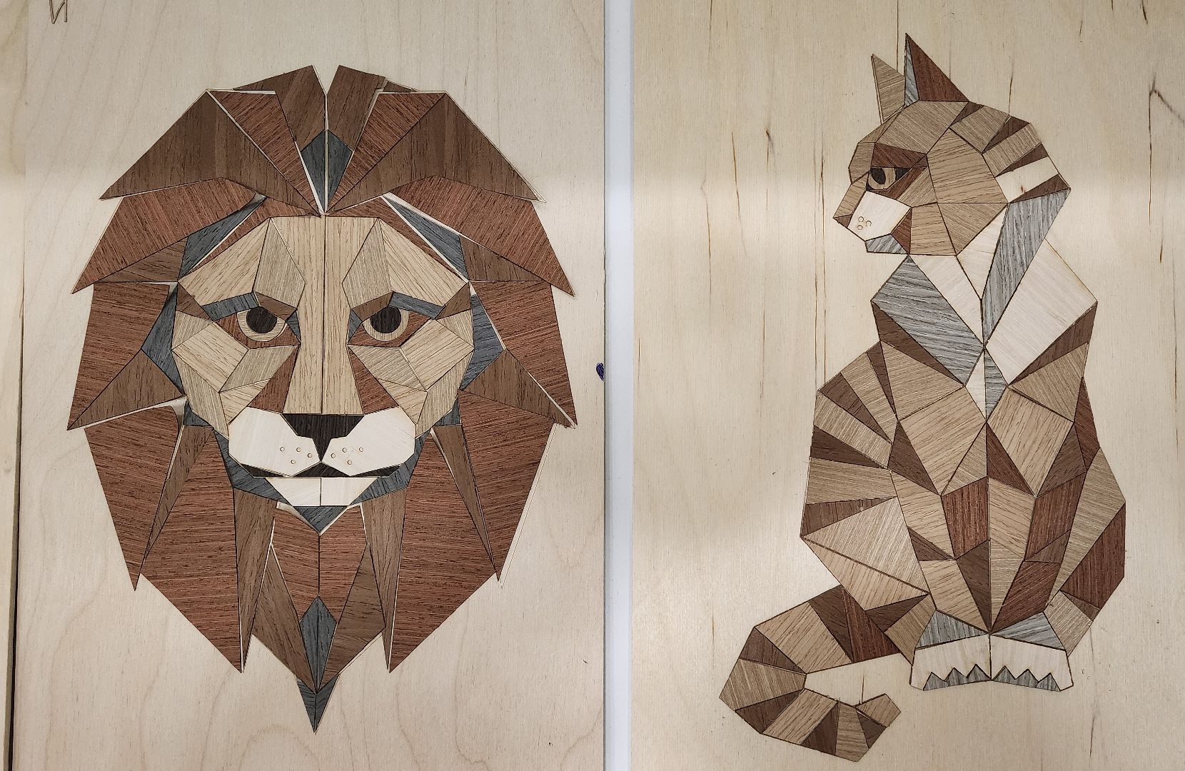 научная конференция, проектная работа,