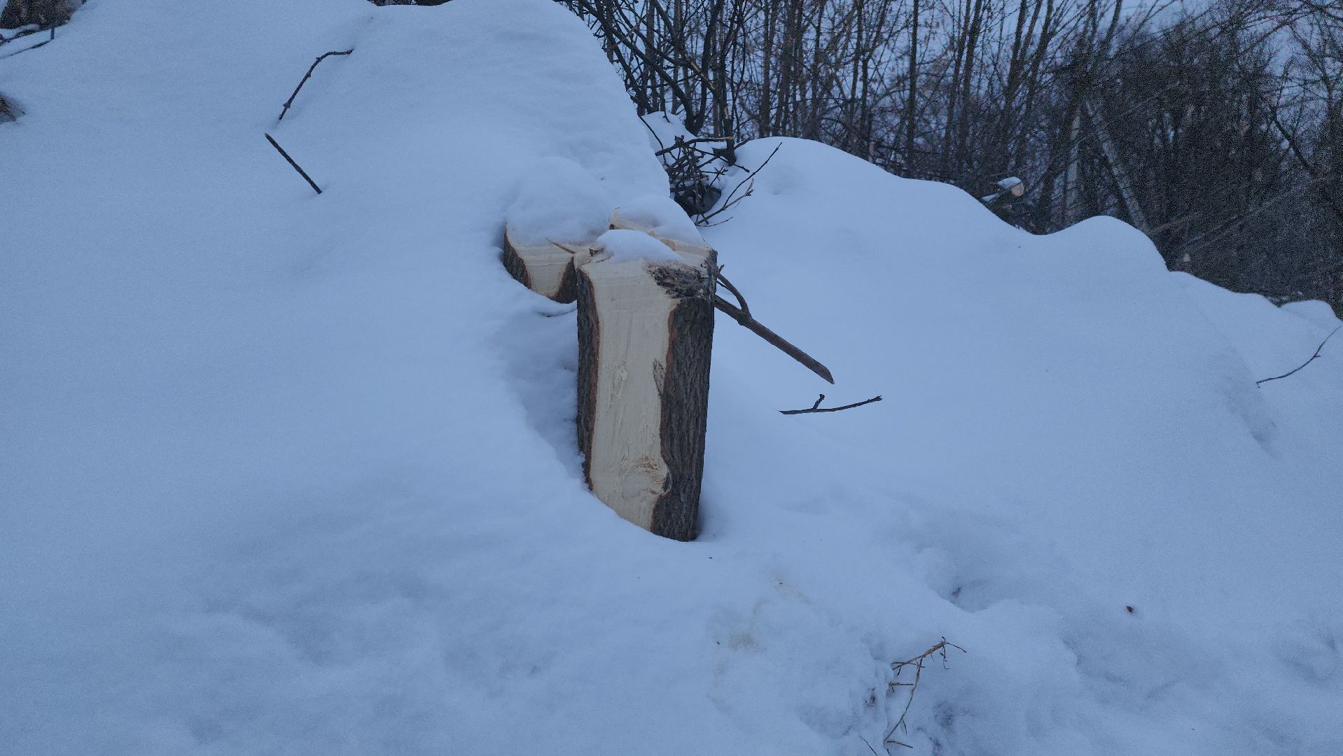 Павловский Посад, Городской округ Павловский Посад, Парк, Строительство, Благоустройство, Набережная, Зелный узел,