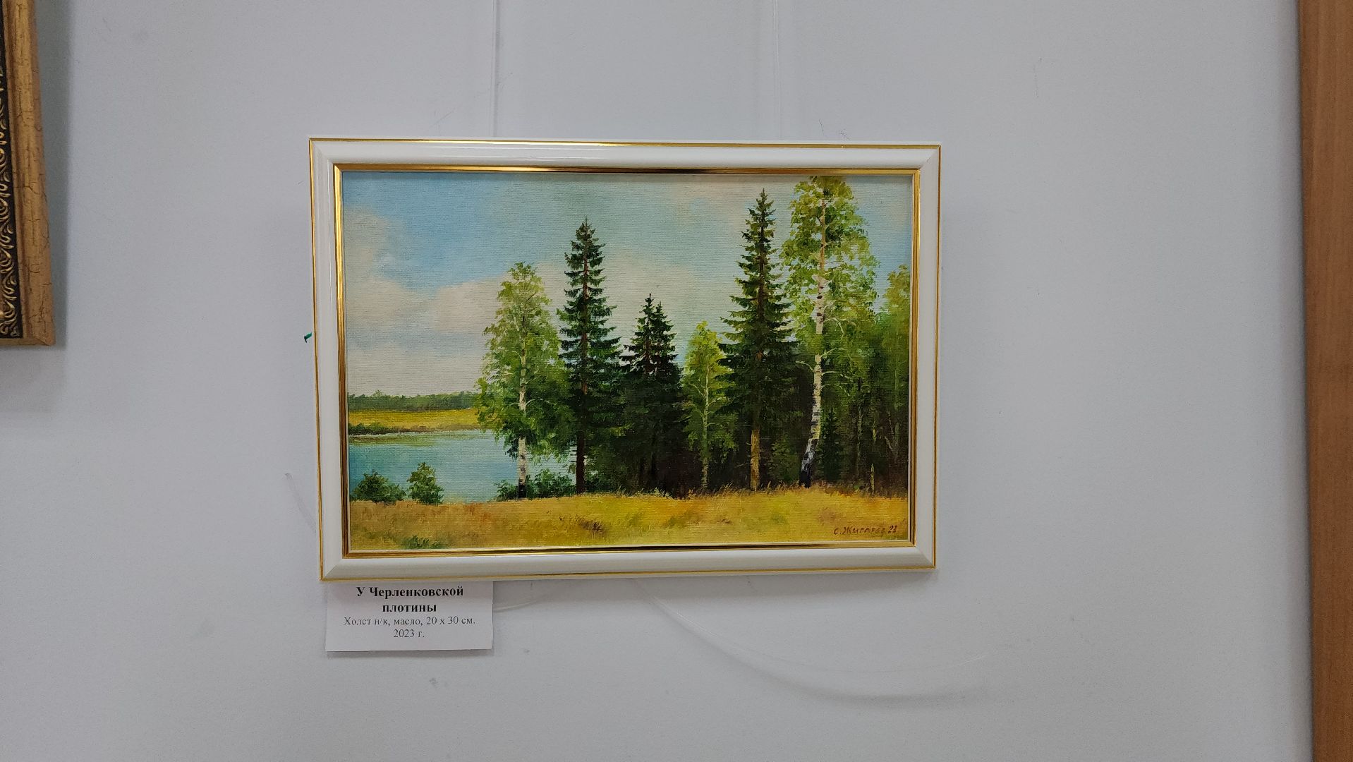 волоколамск, художественная выставка, библиоканикулы, библиотека, Выставка, художник, художники подмосковья,