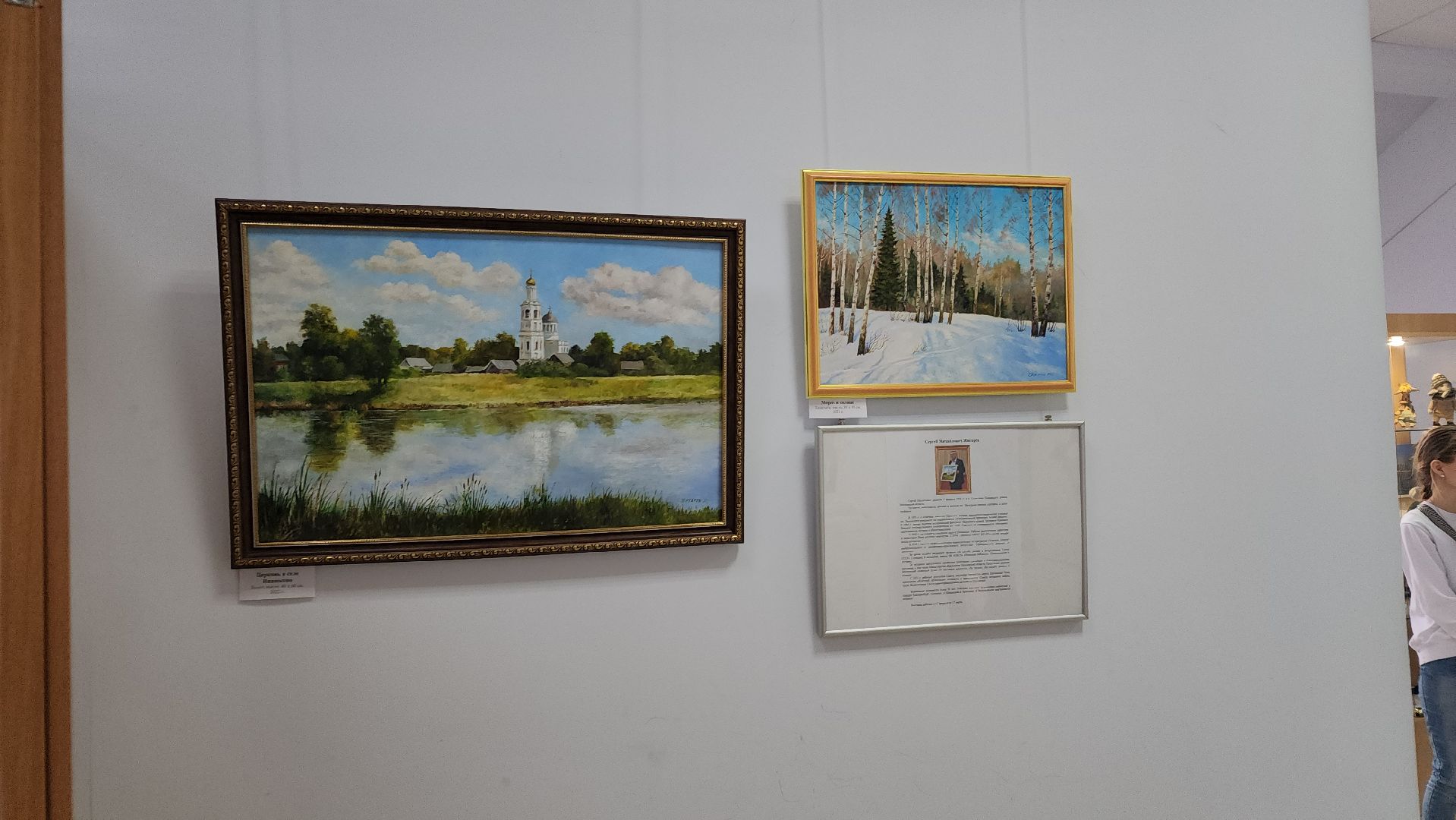 волоколамск, художественная выставка, библиоканикулы, библиотека, Выставка, художник, художники подмосковья,