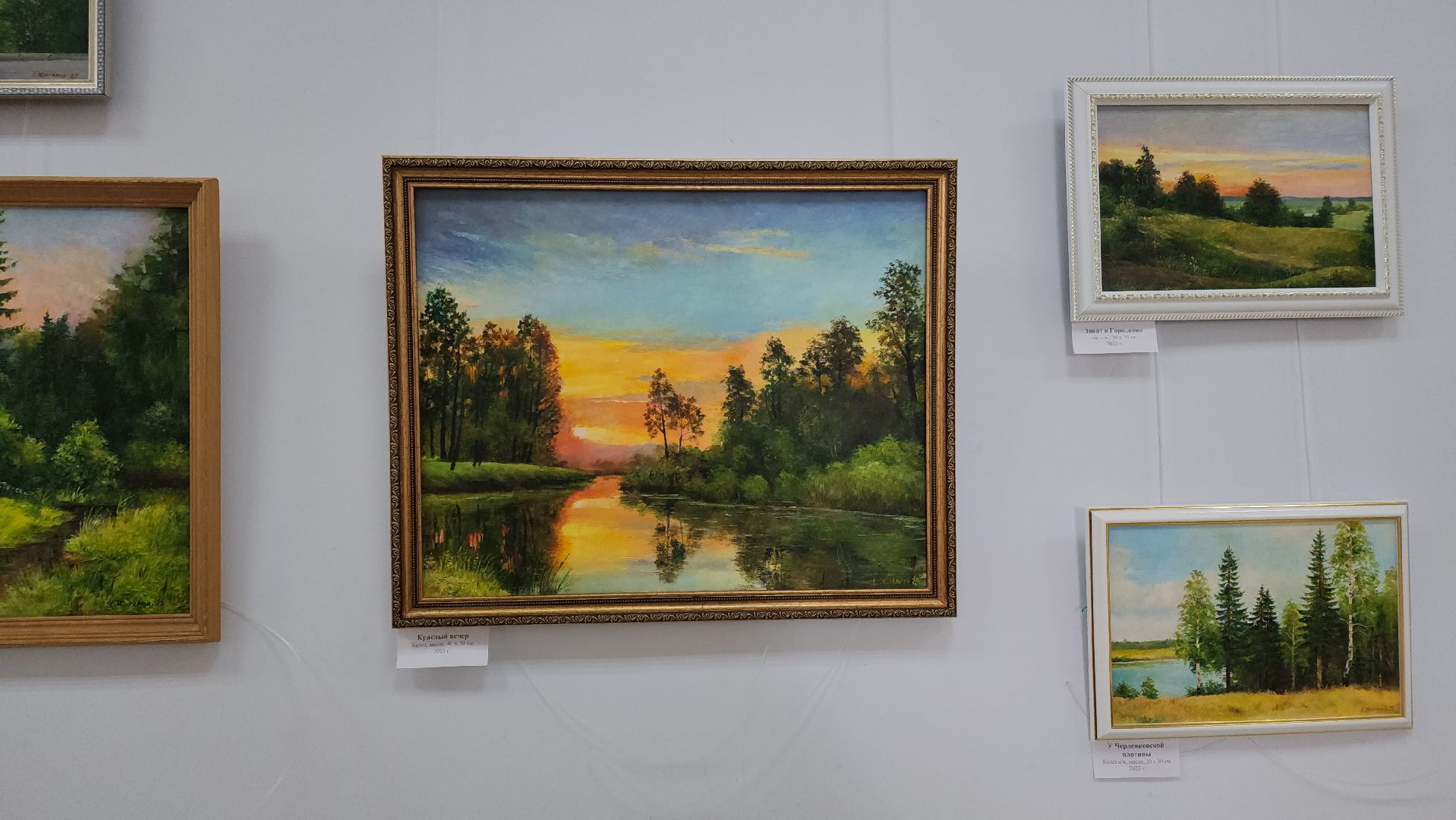 волоколамск, художественная выставка, библиоканикулы, библиотека, Выставка, художник, художники подмосковья,