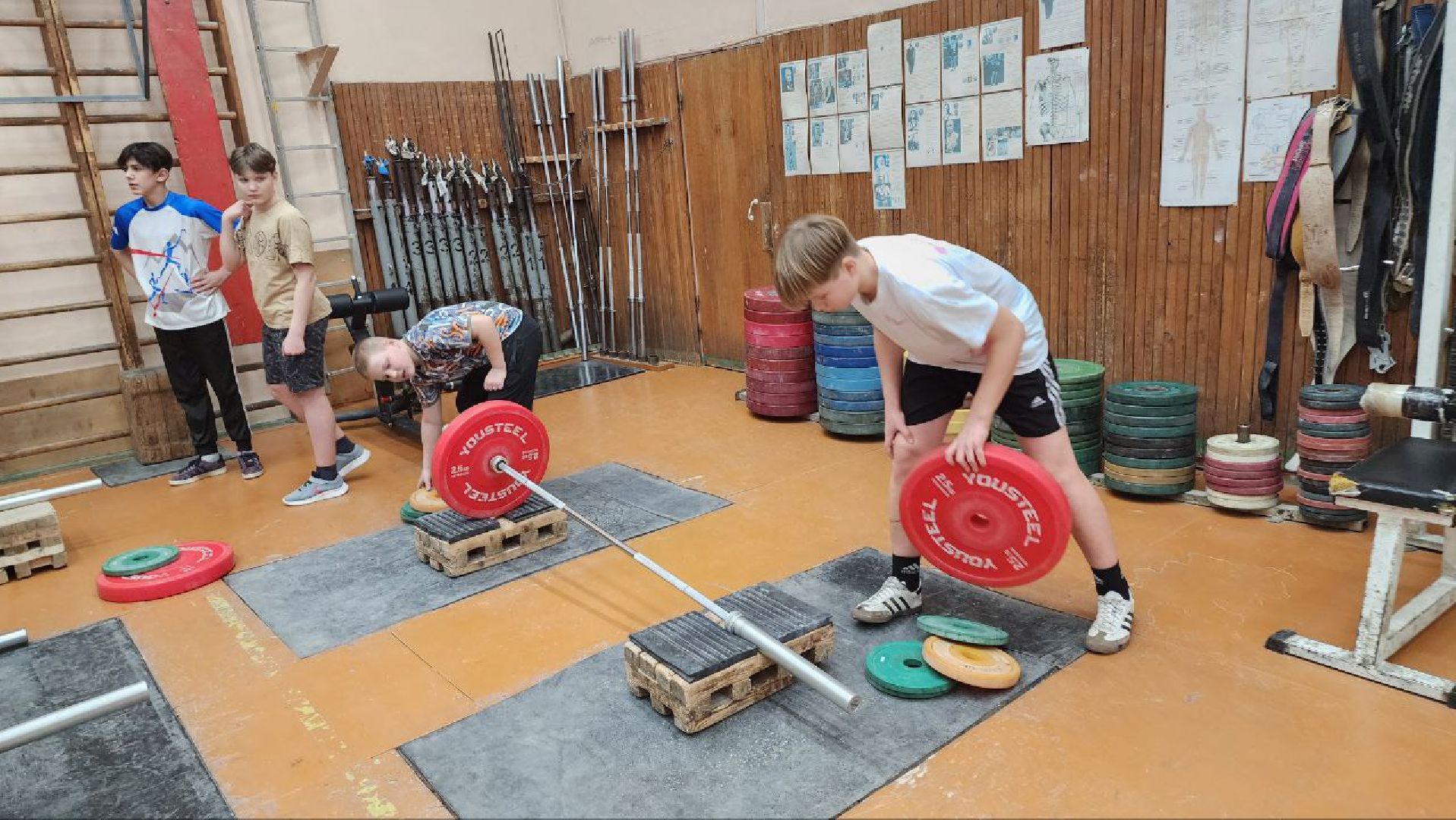 люберцы, спорт, тяжелая атлетика,