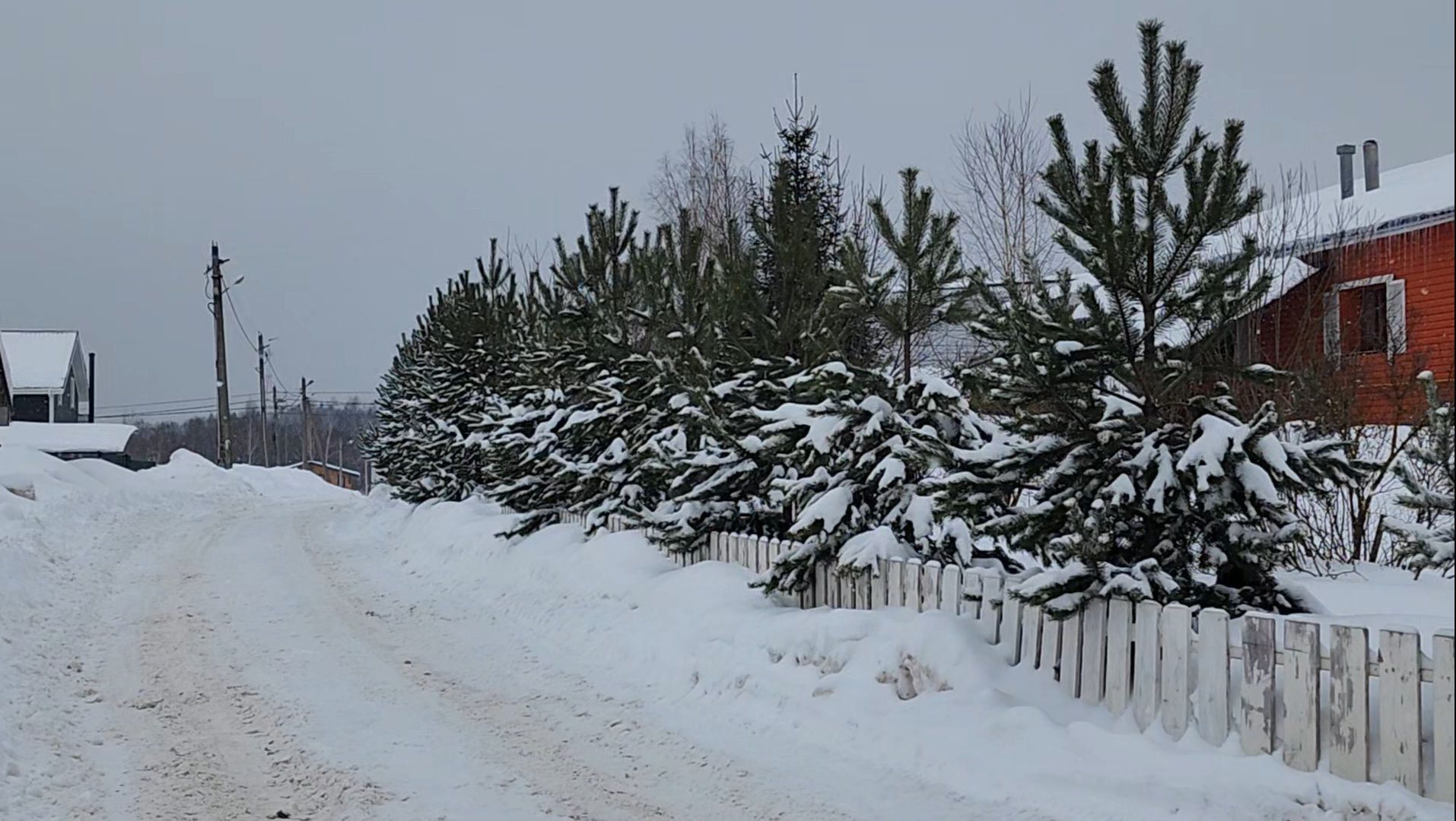 метеоролог, погода,