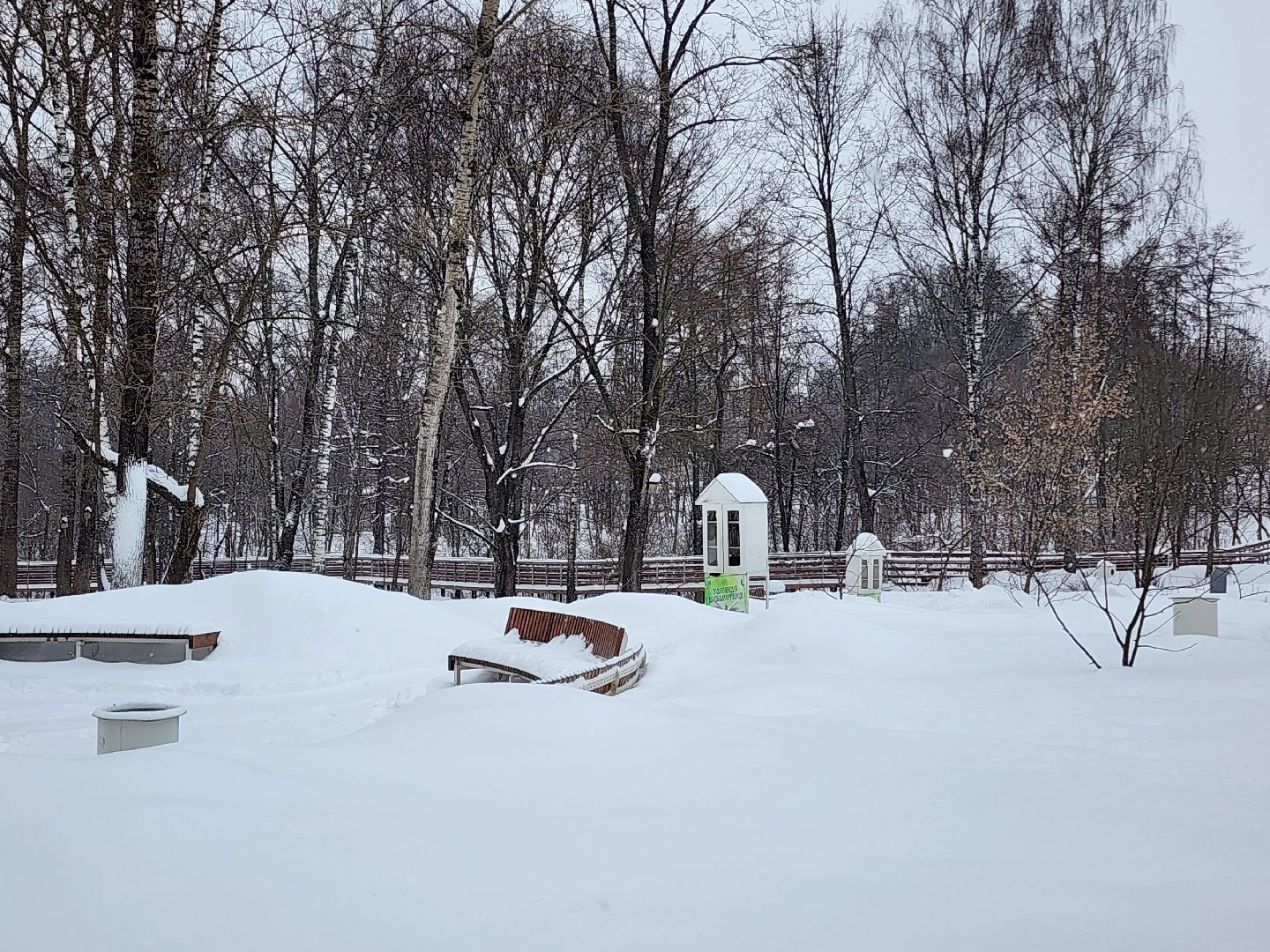 метеоролог, погода,